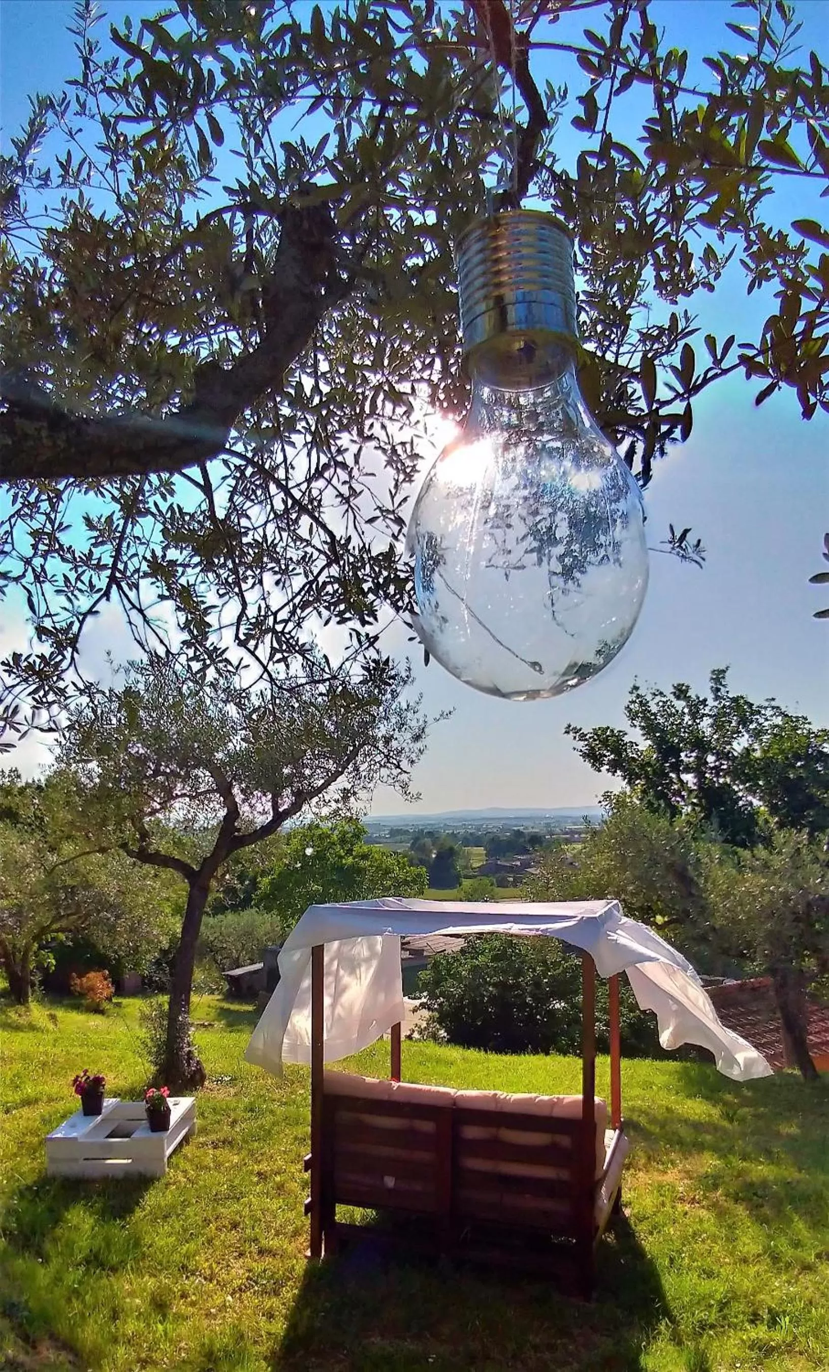 Garden in La Casa Tra Gli Ulivi