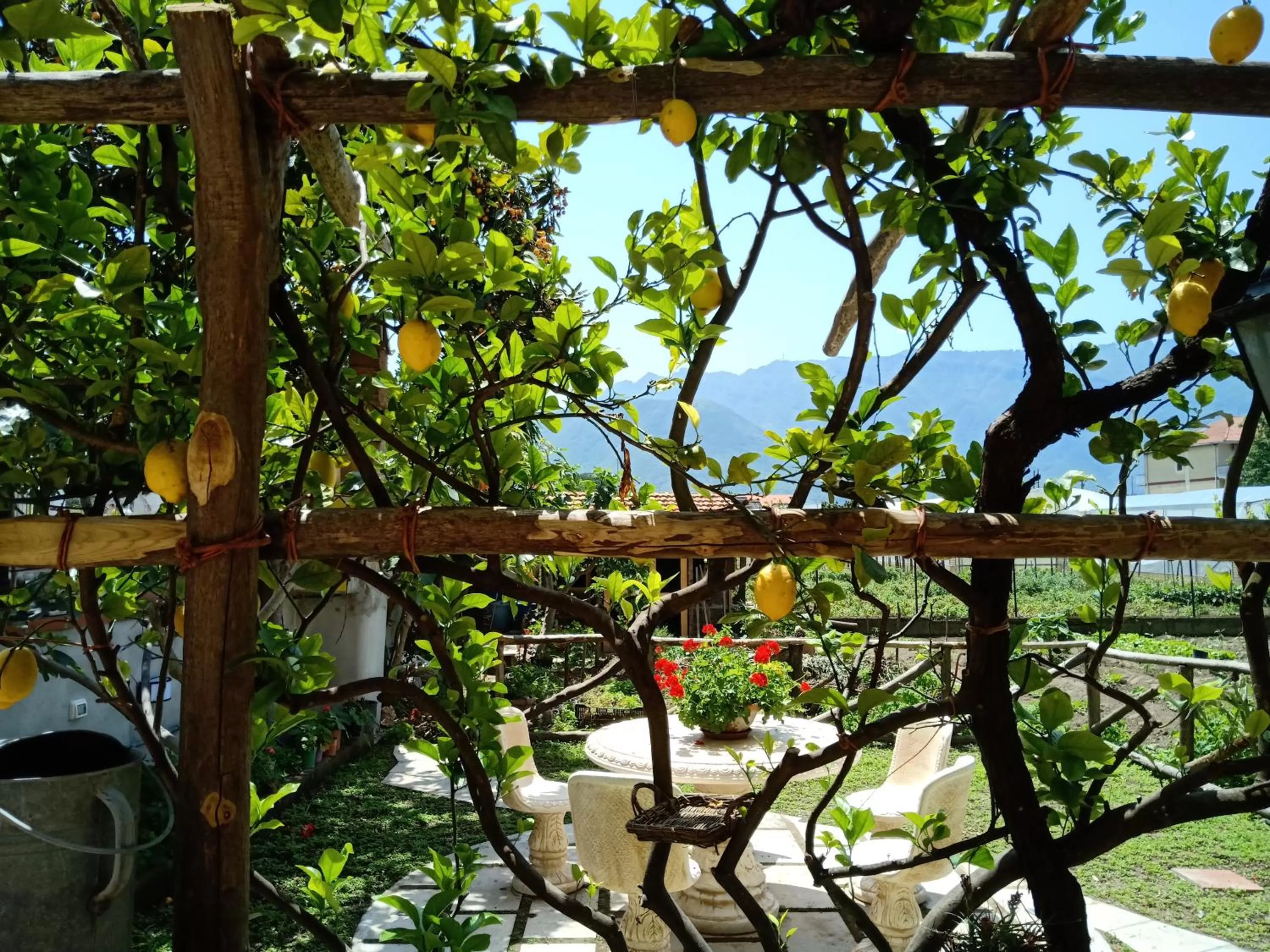 Garden in Buonocore Rooms