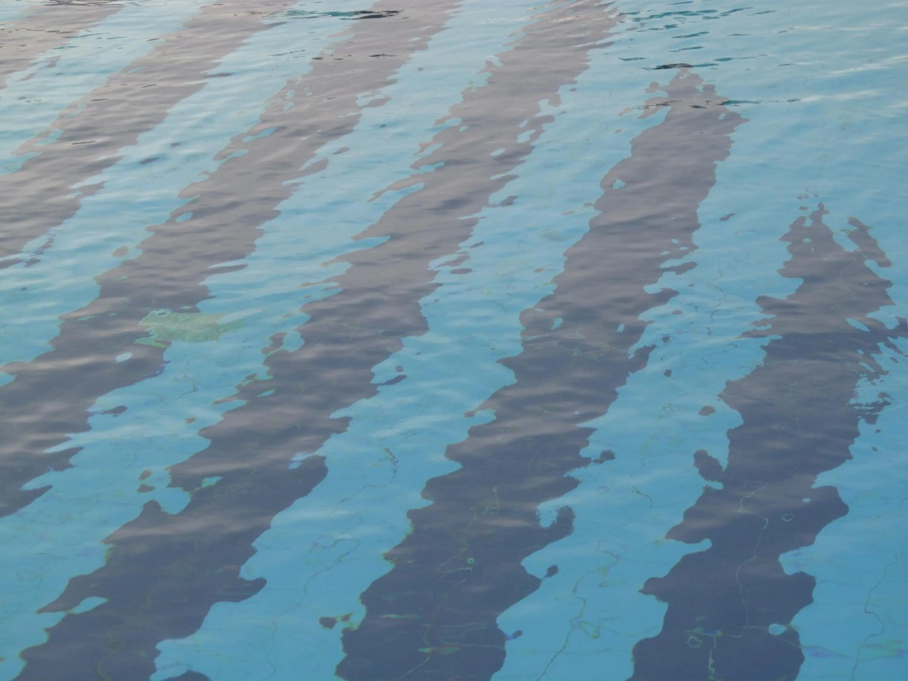 Swimming pool in Cathrin Hotel