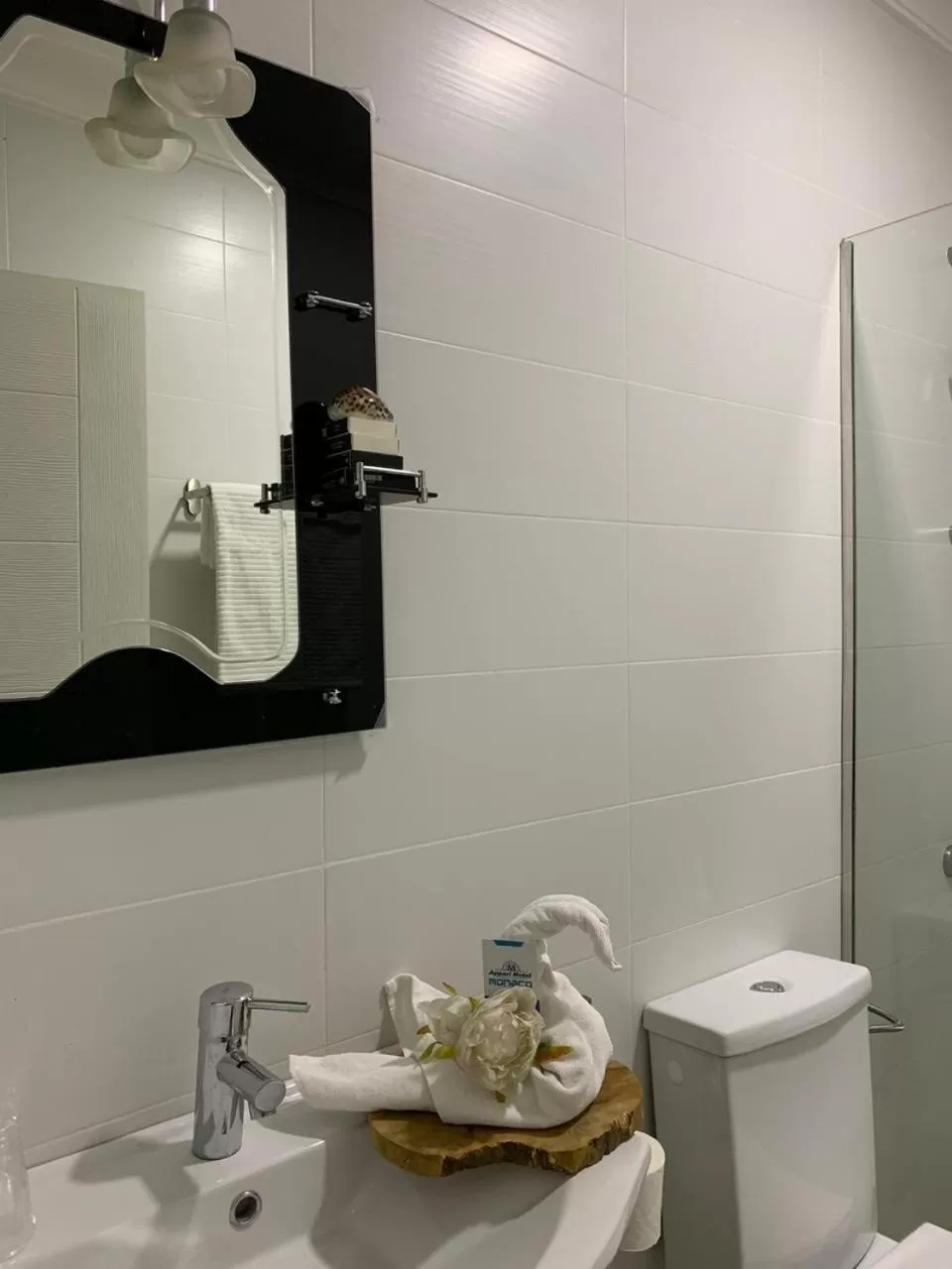 Bathroom in Appart Hotel Monaco