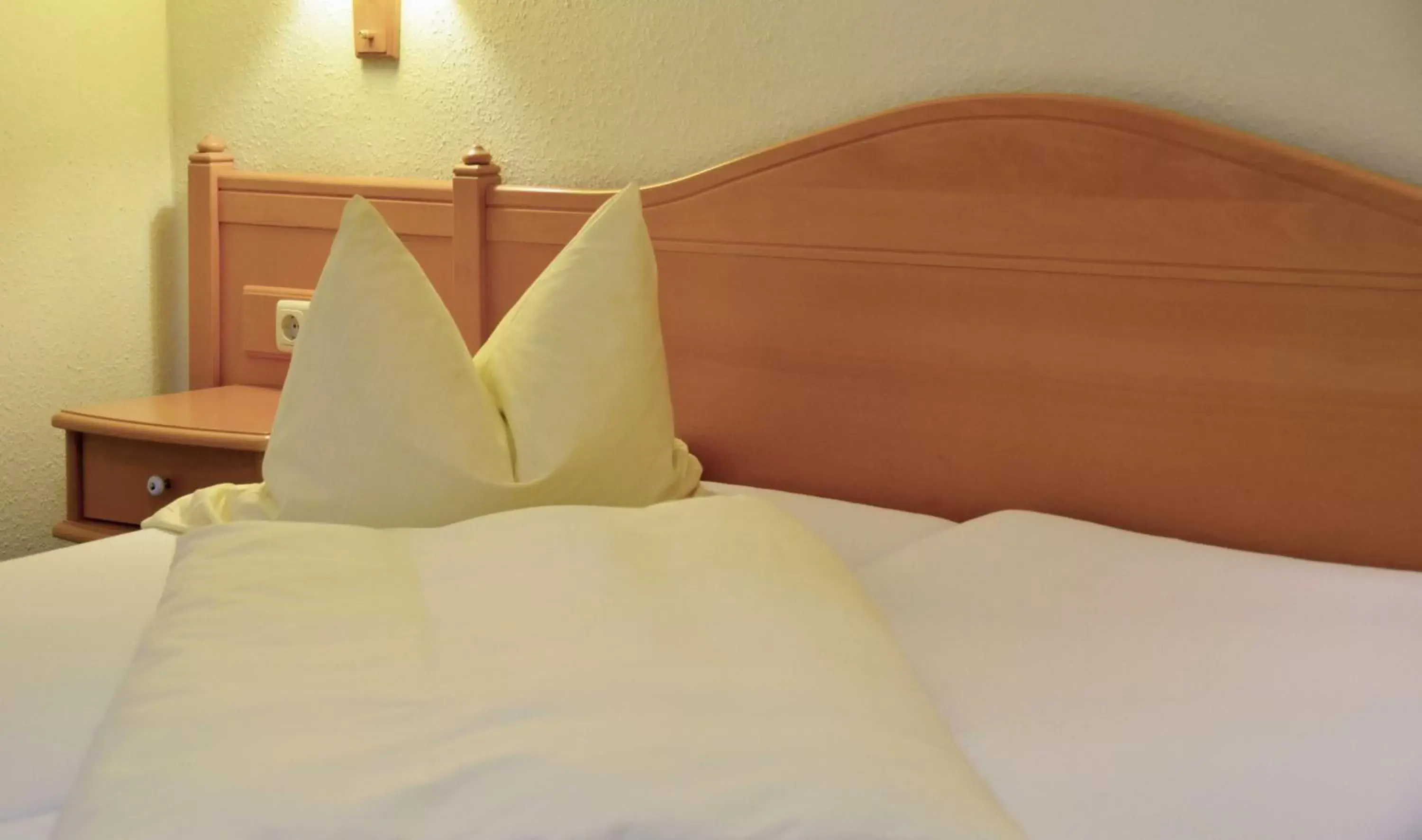 Double Room in Hotel Gasthof Am Forsthof Double Room in Hotel Gasthof Am Forsthof