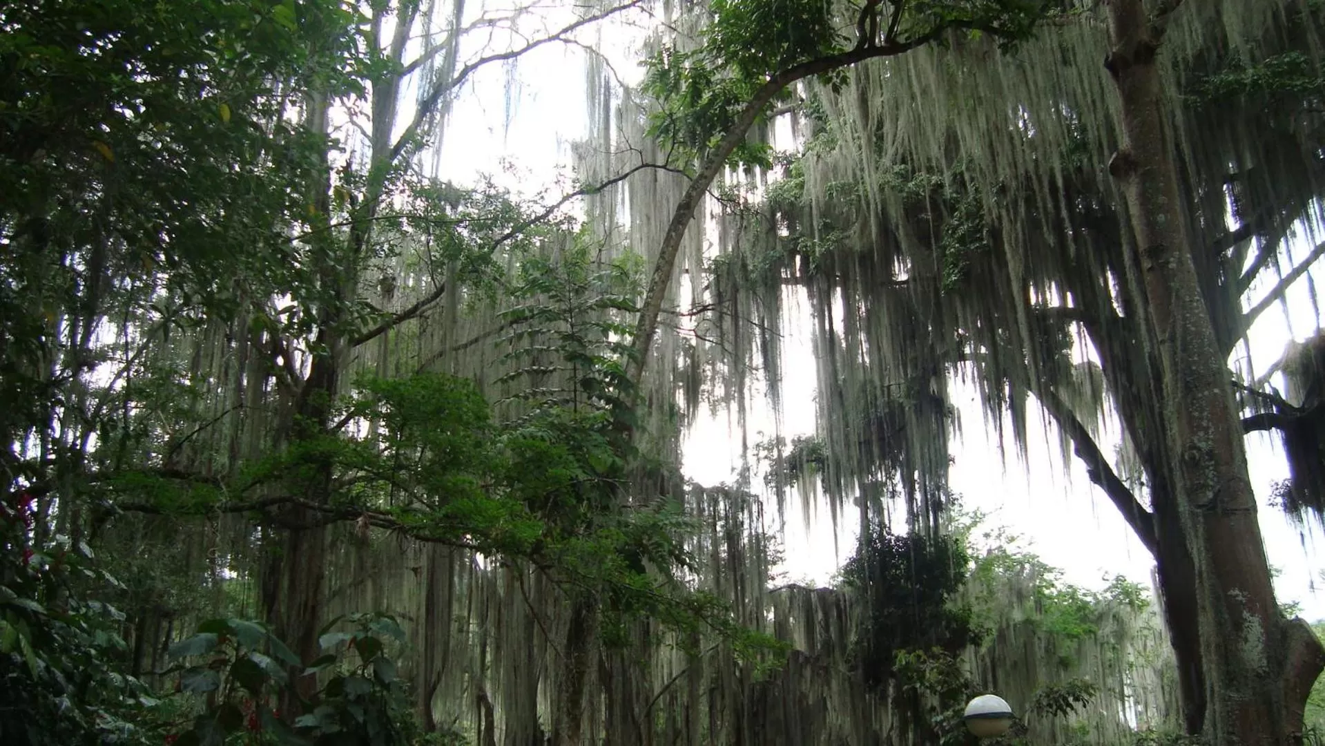 Sunrise/Sunset in Hotel Centro Real