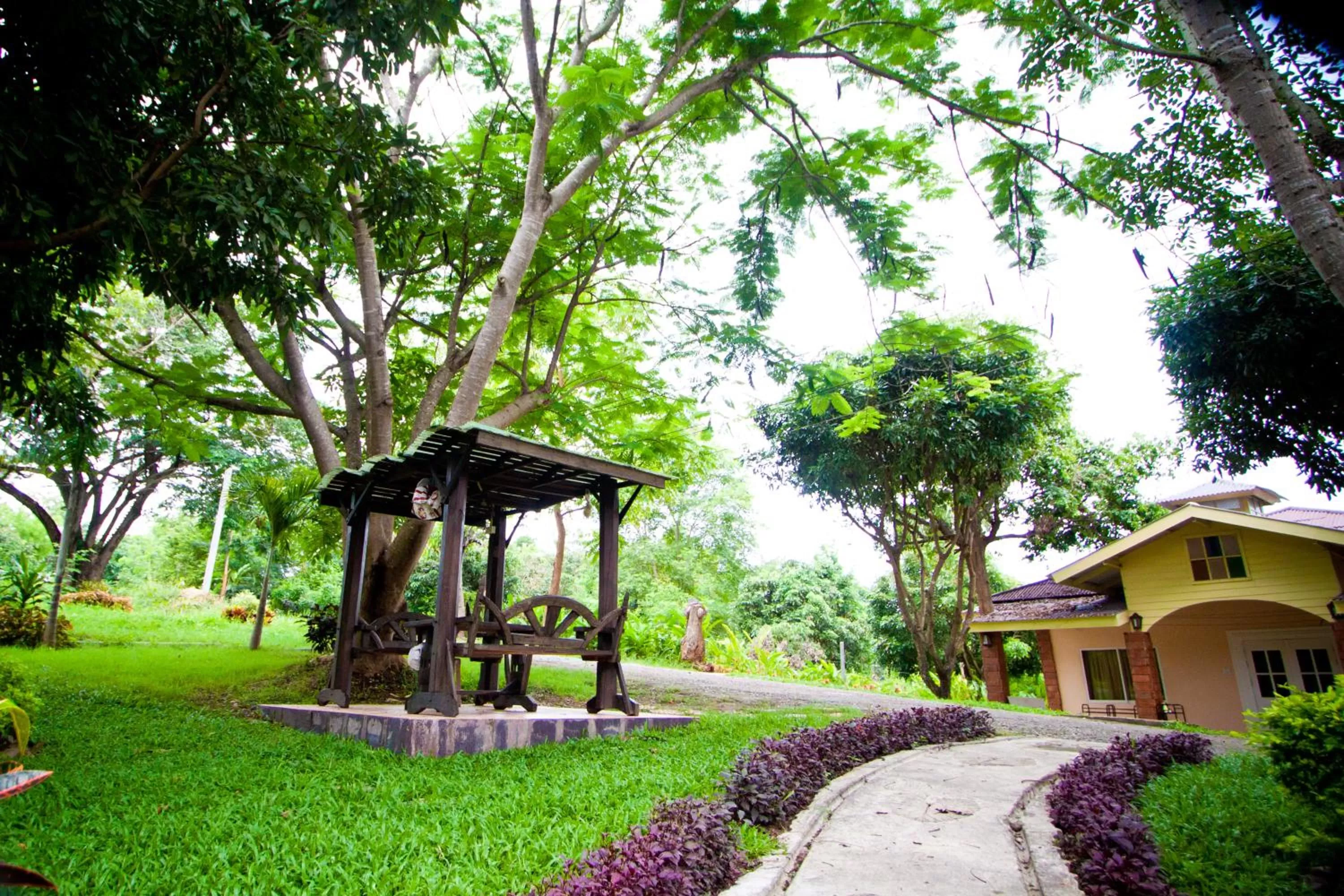 Natural landscape in Touch Star Resort - Doi Inthanon