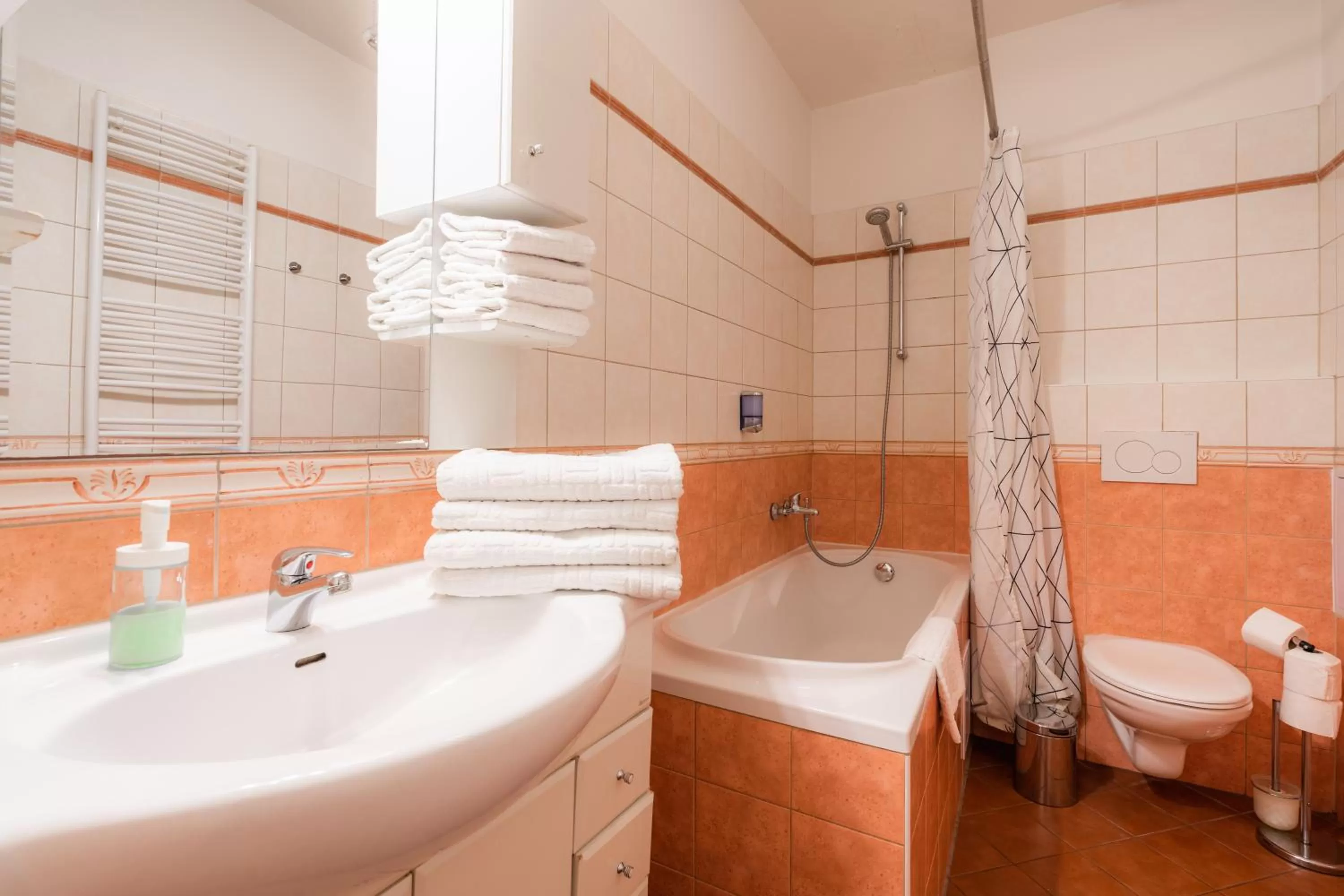 Bathroom in EA ApartHotel Melantrich