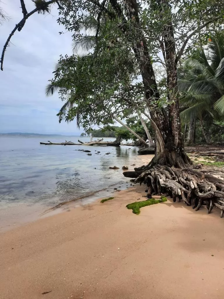 Beach in Casa Acuario Boutique Hotel