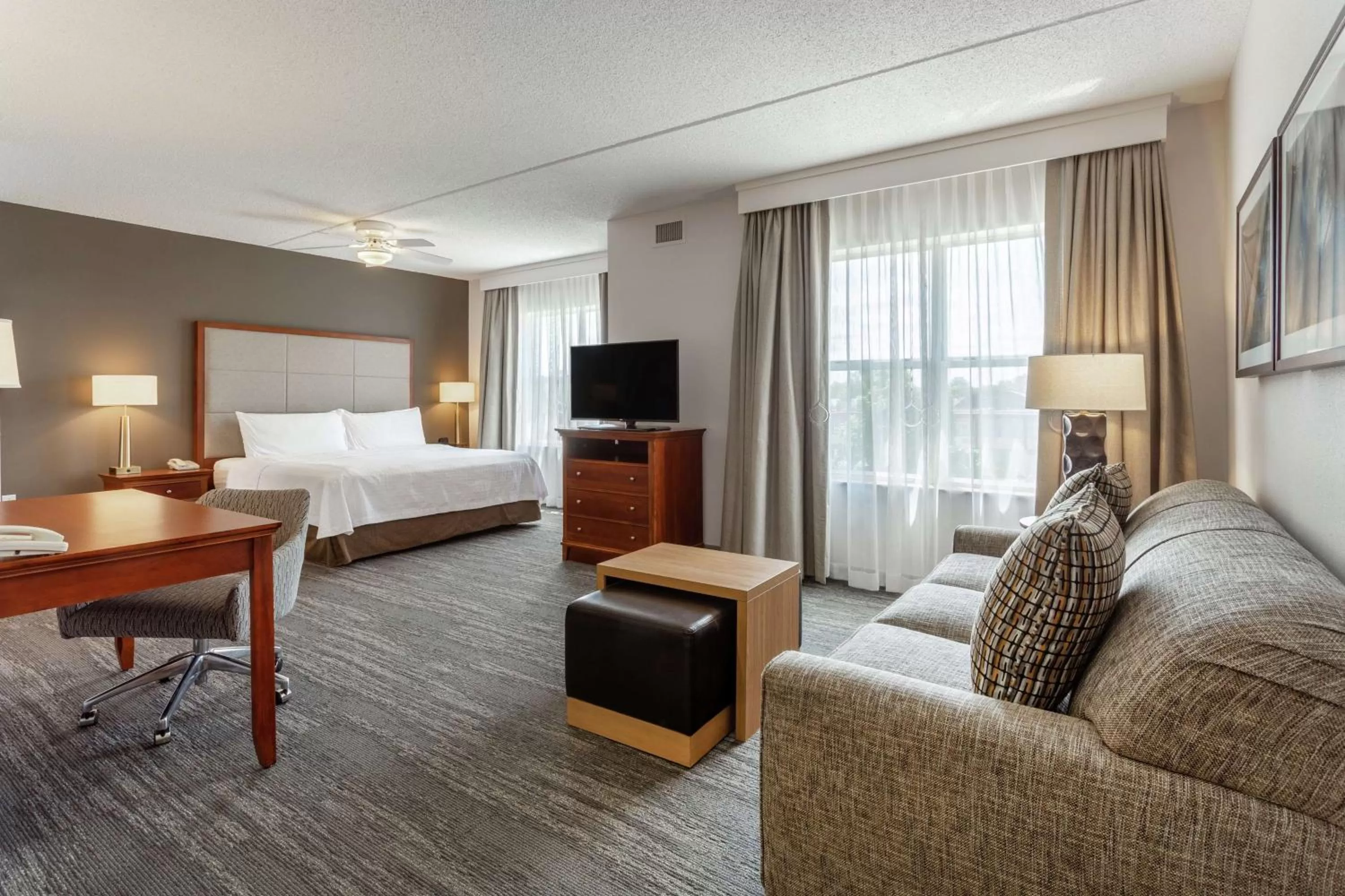 Living room, Bed in Homewood Suites by Hilton Albany