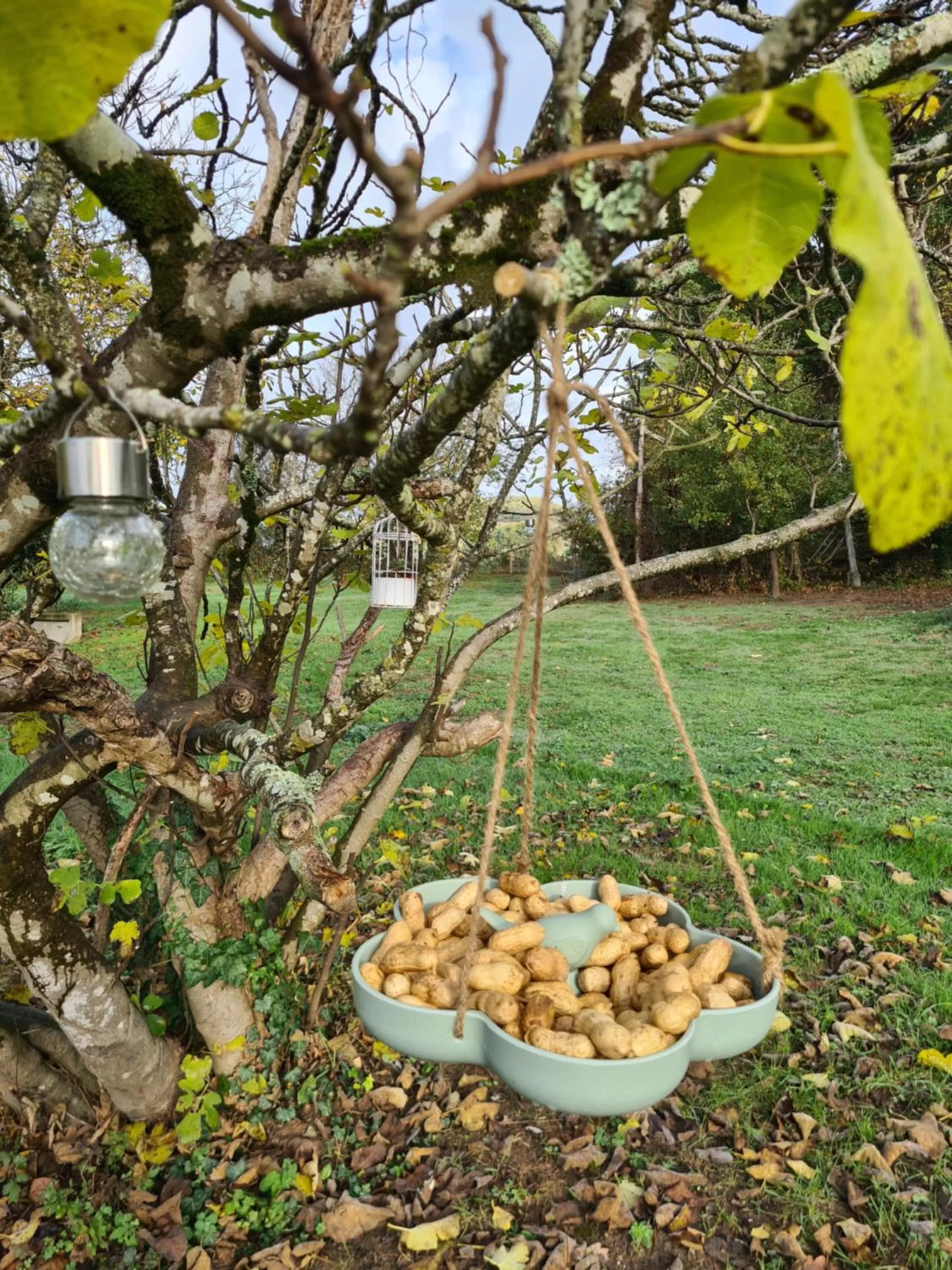 Garden in Le Coq en Repos