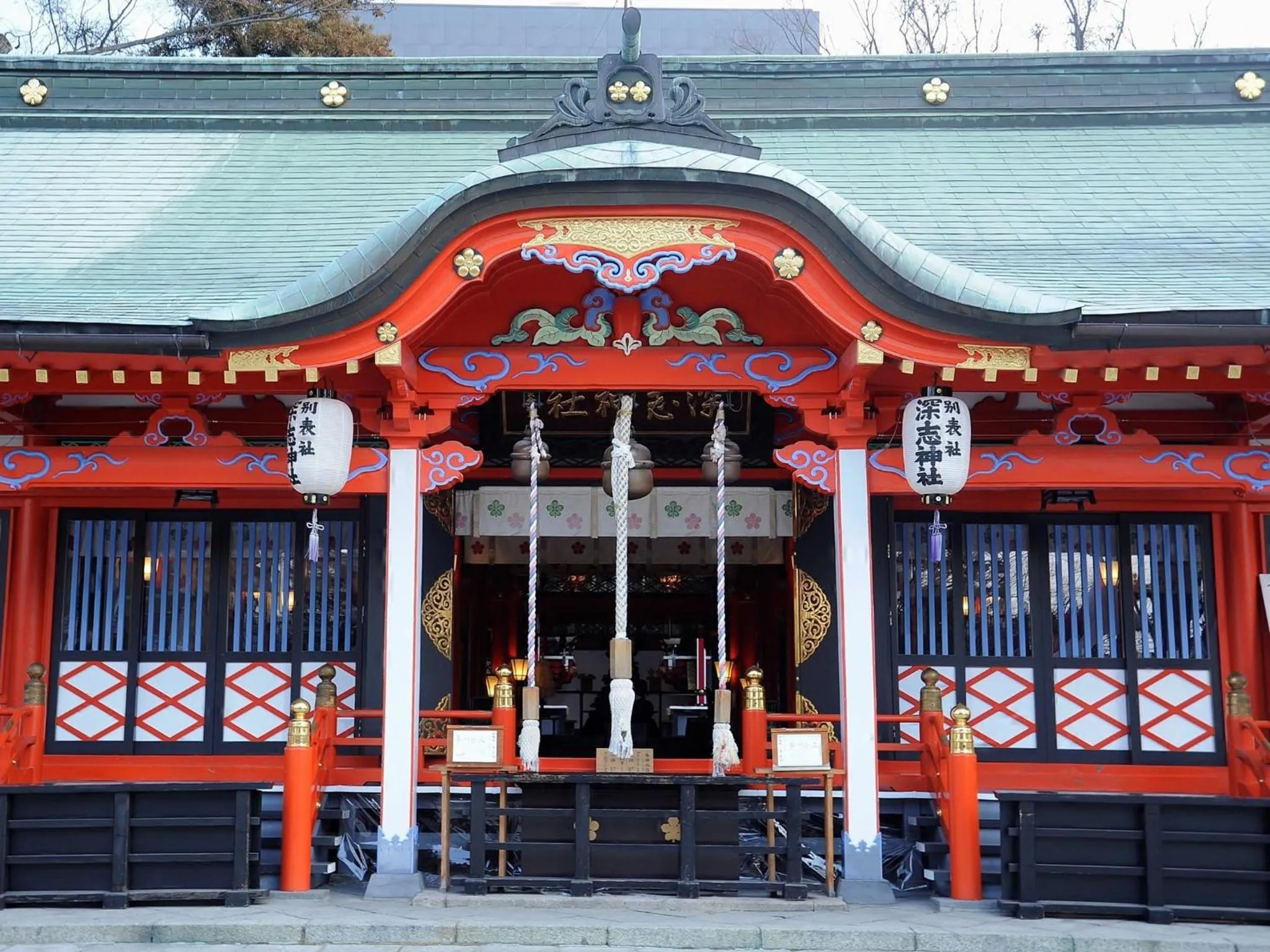 Area and facilities in Hotel Buena Vista