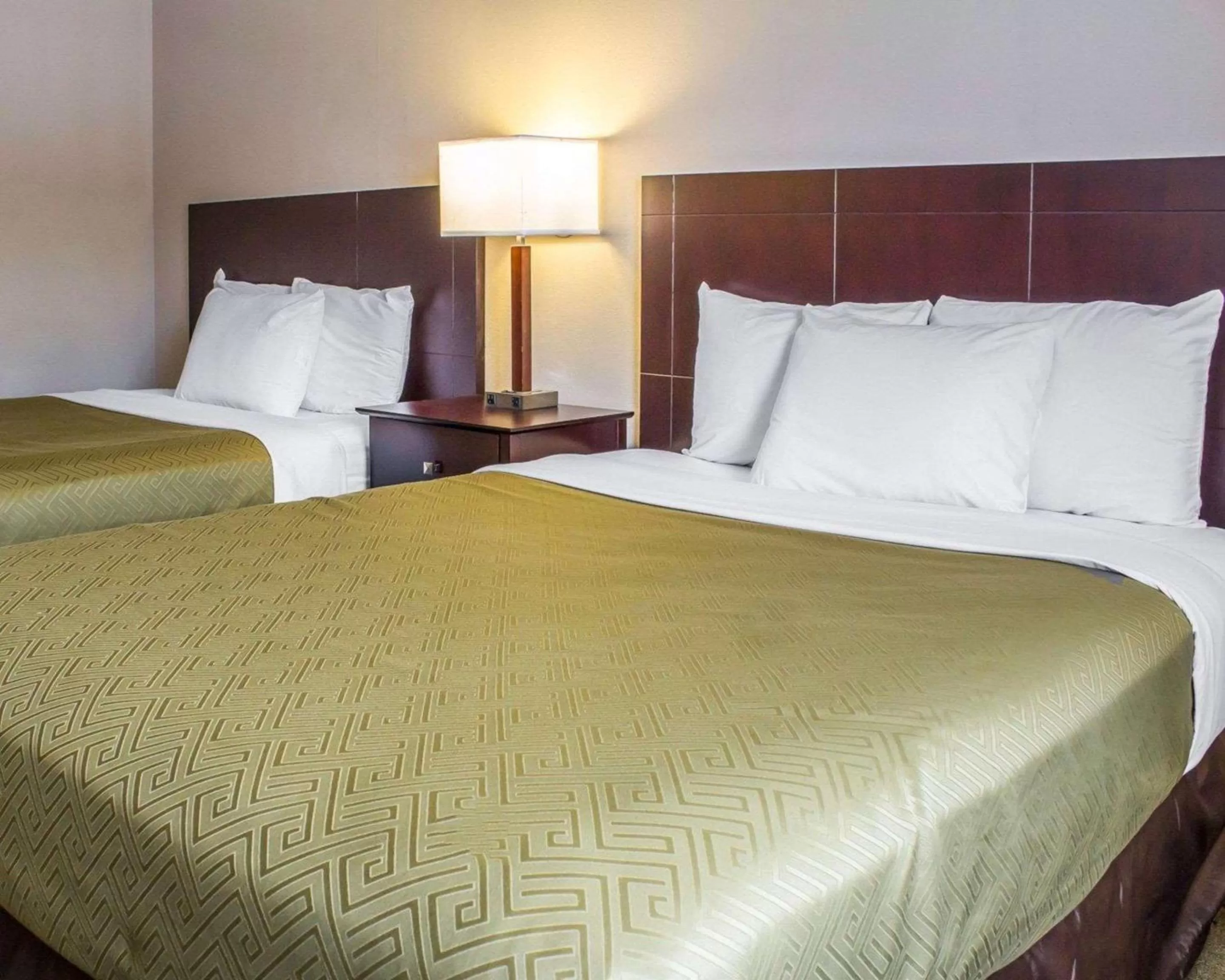 Photo of the whole room, Bed in Econo Lodge