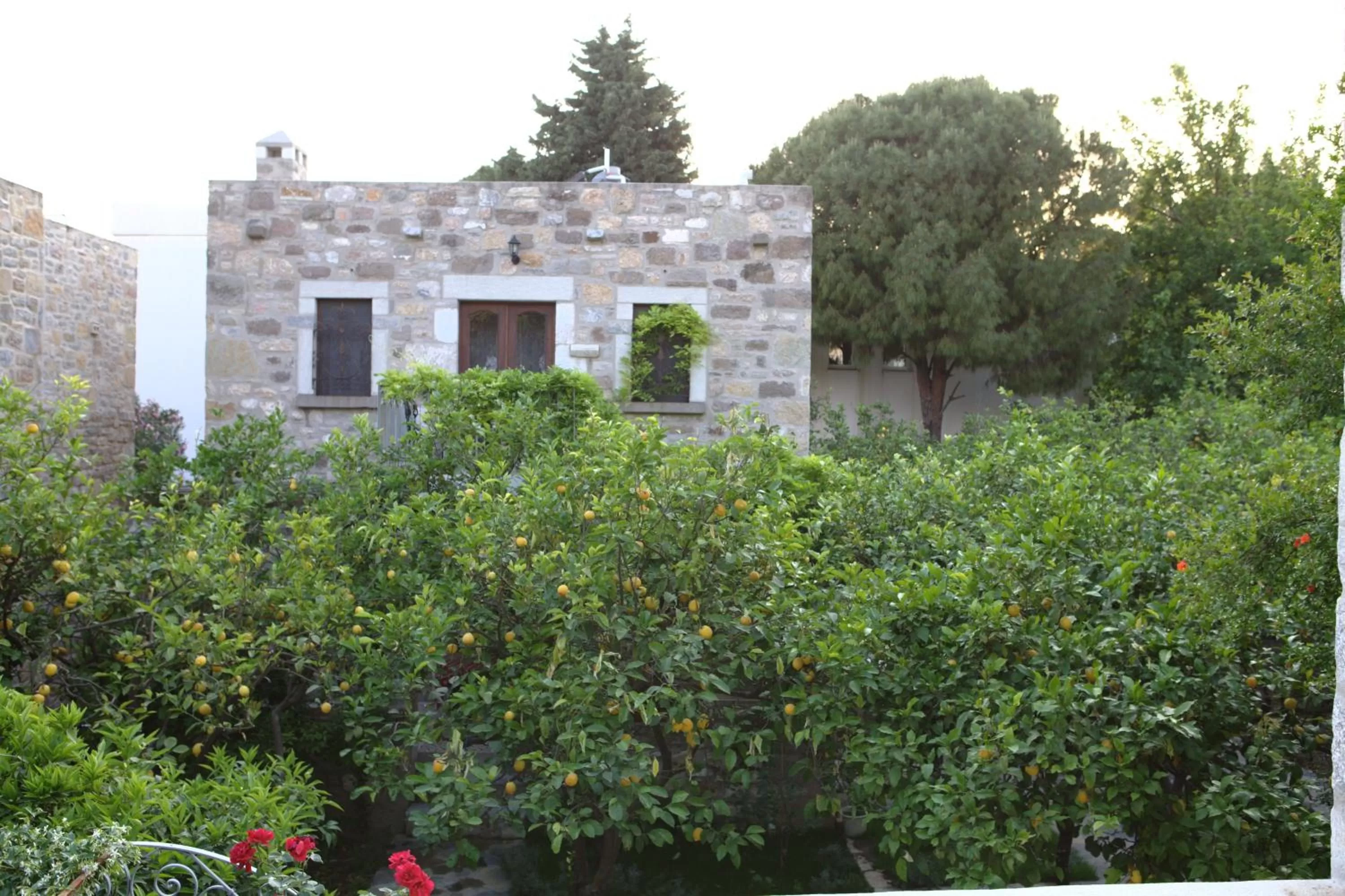 Property Building in Ha La Bodrum