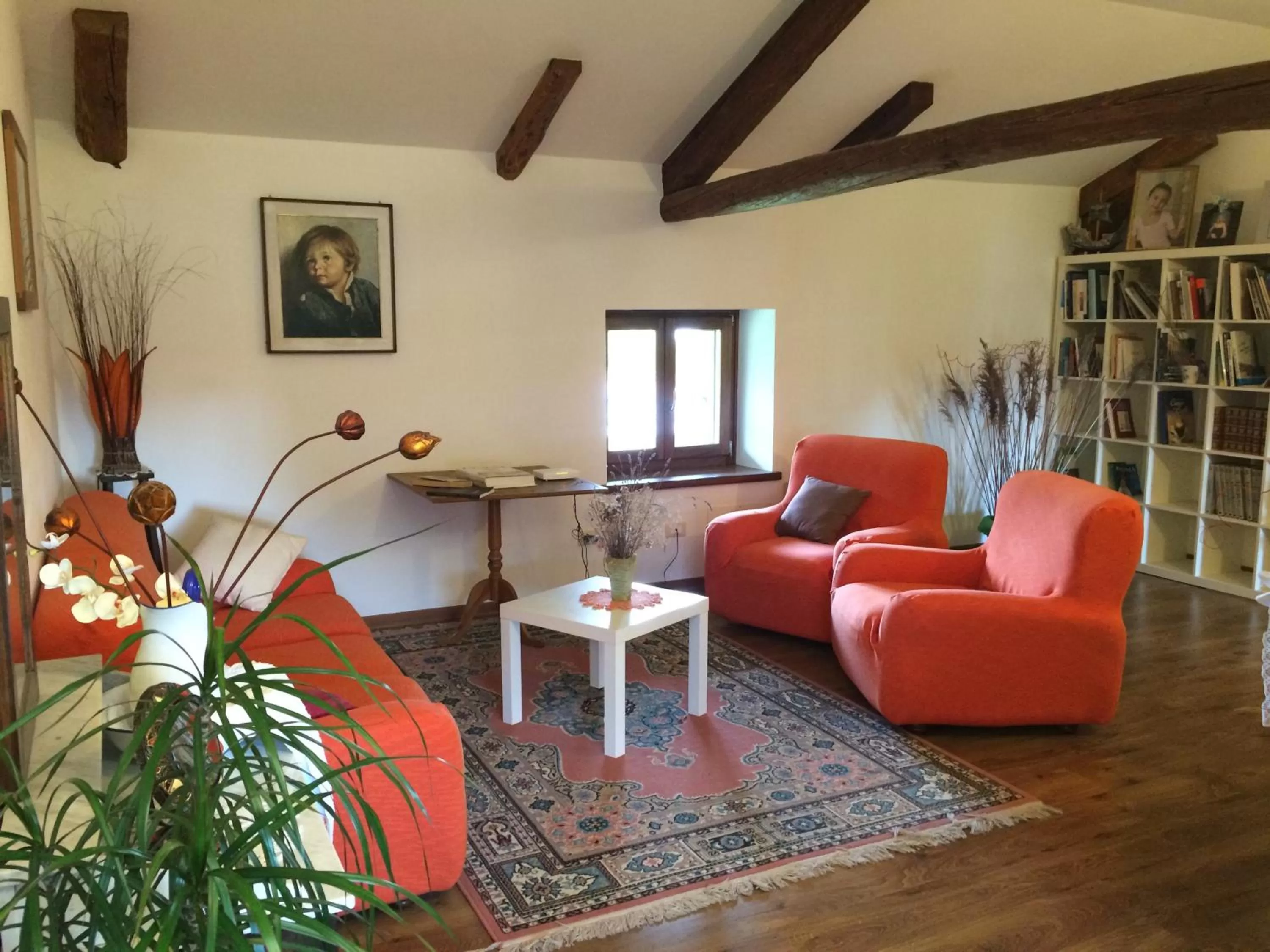 Library, Lounge/Bar in Casa Pellis