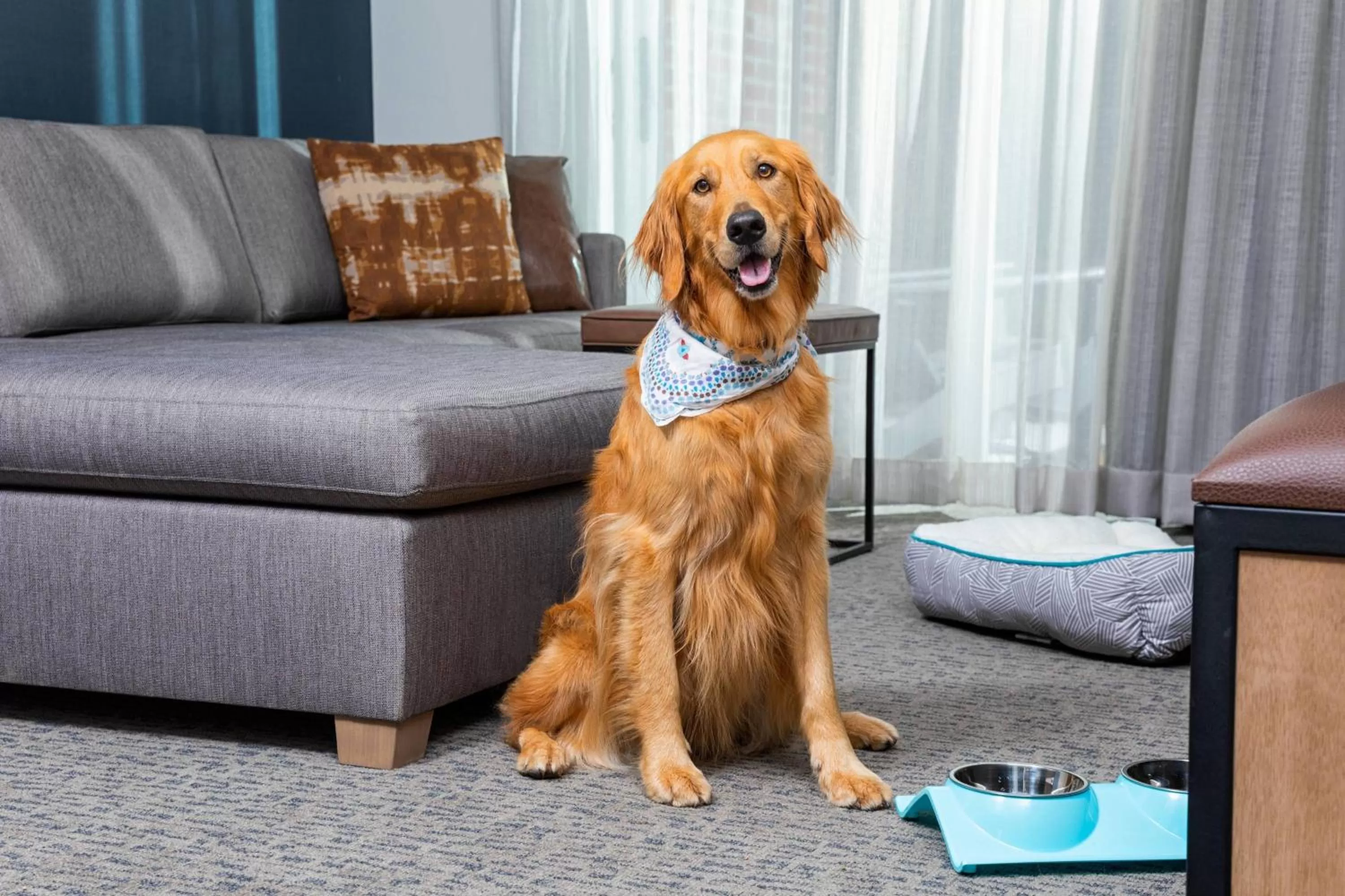 Other in Residence Inn by Marriott Big Sky/The Wilson Hotel