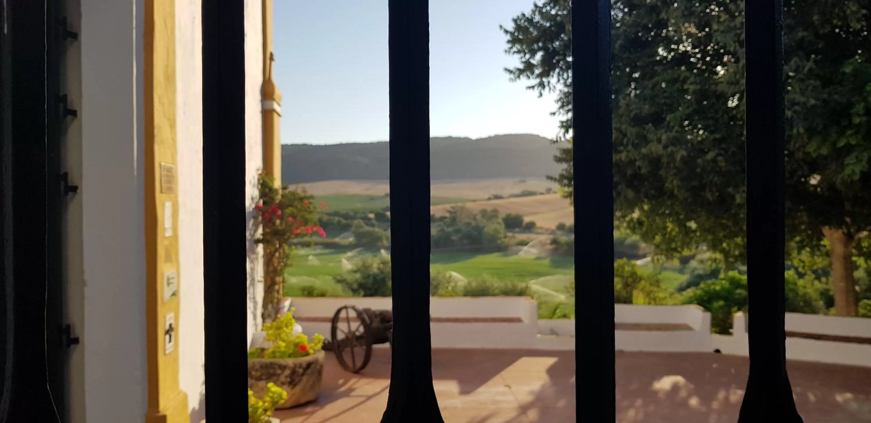 Garden in Hacienda El Santiscal