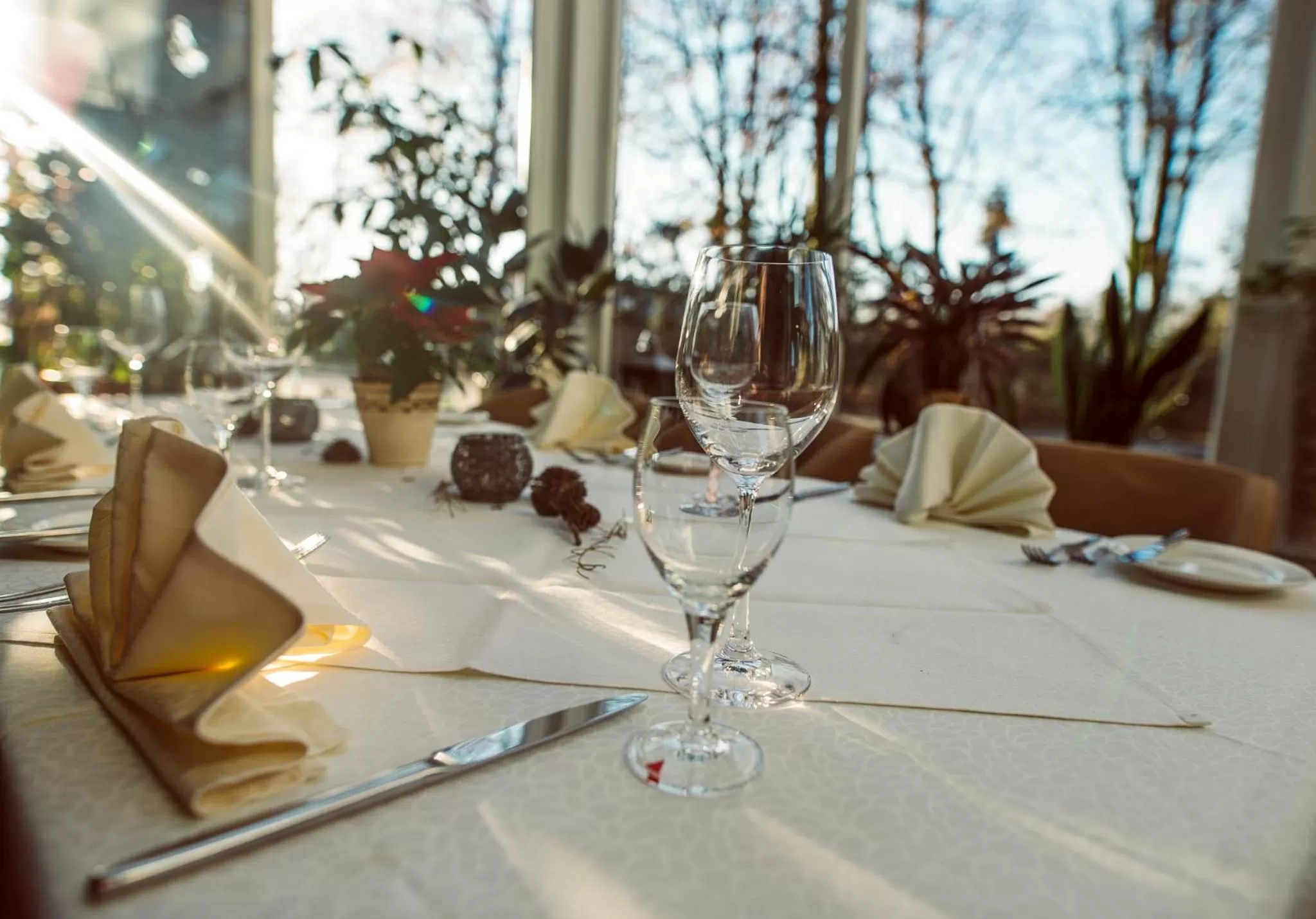 Restaurant/places to eat in Lindenhof Hotel Tepe