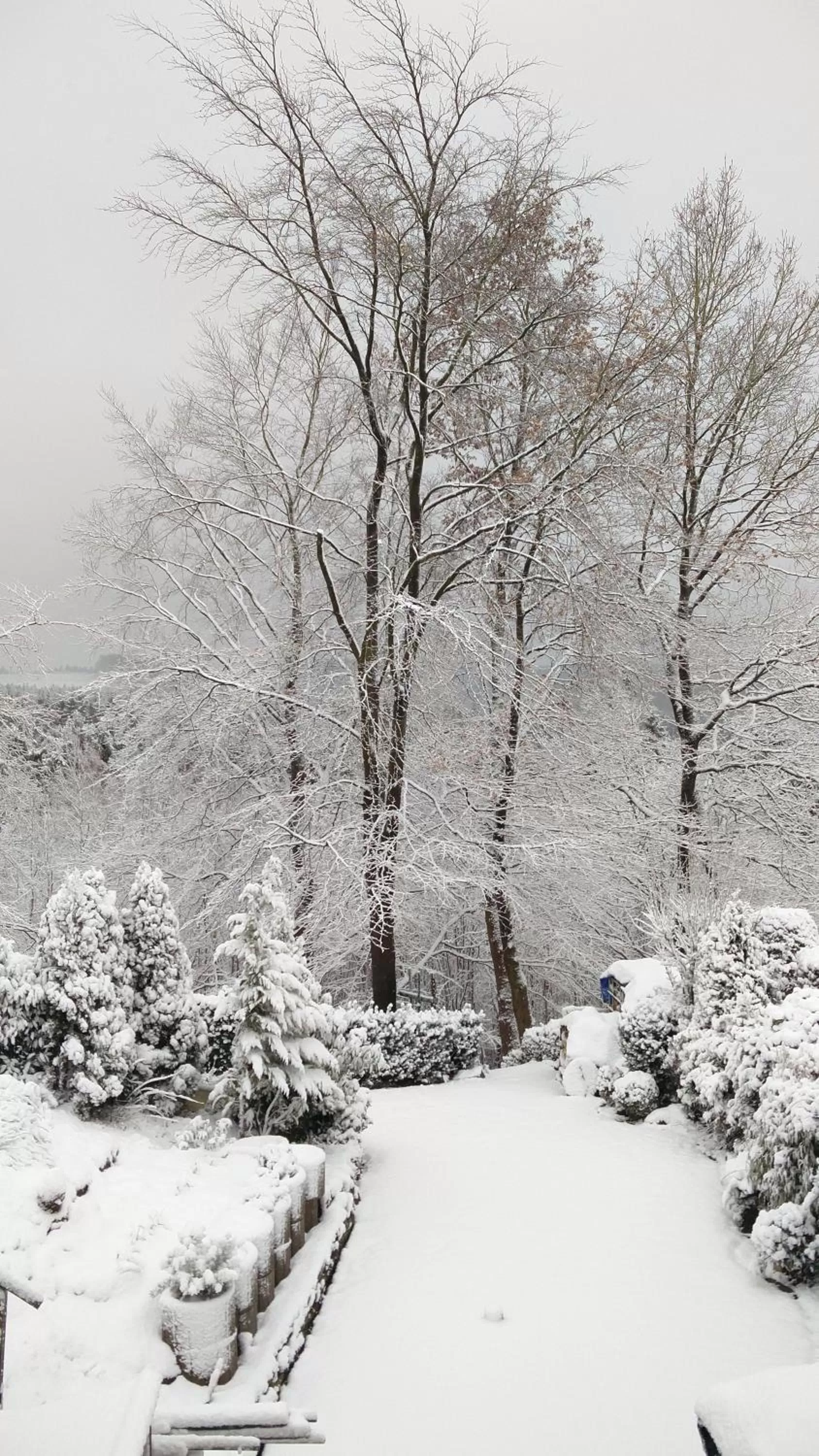 Winter in Bed and Breakfast am Höhenweg