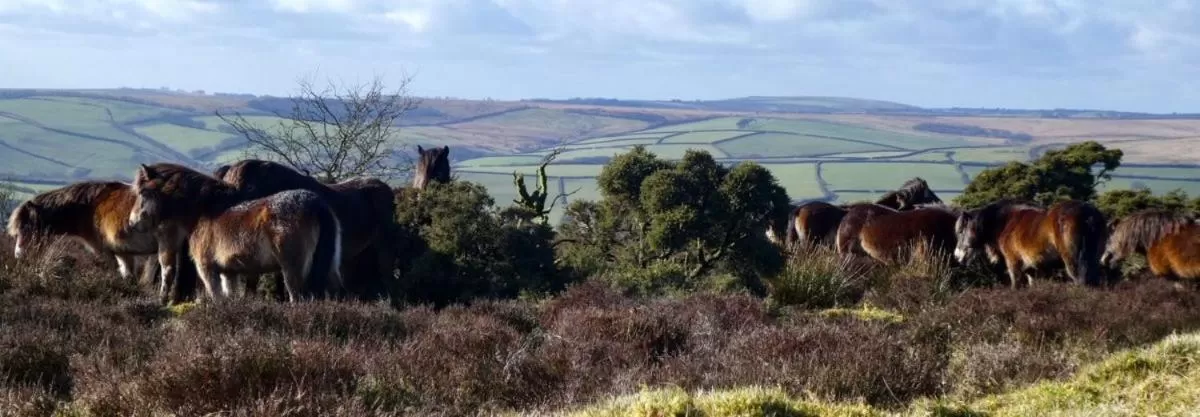 Stones Hotel and Bar