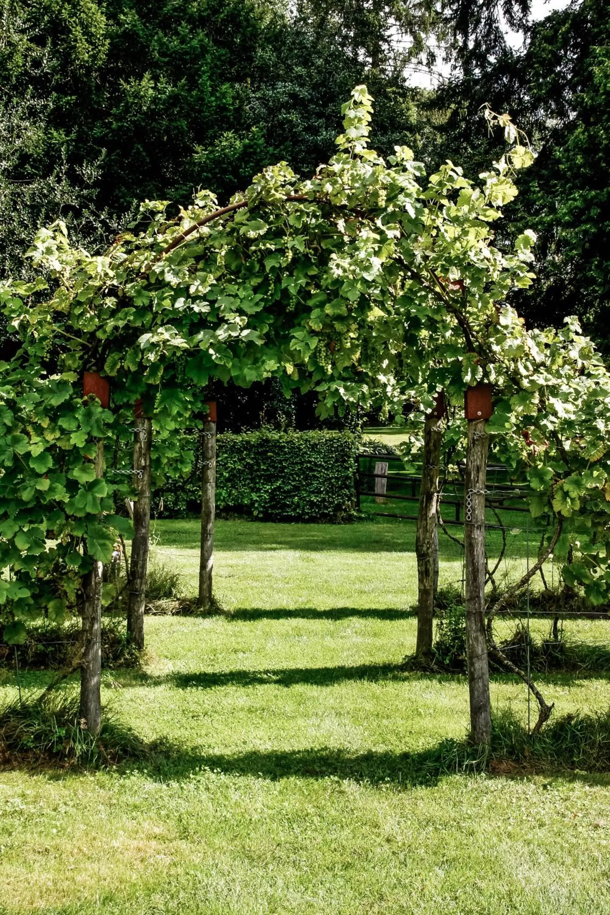 Garden view in de Lochemse Berg