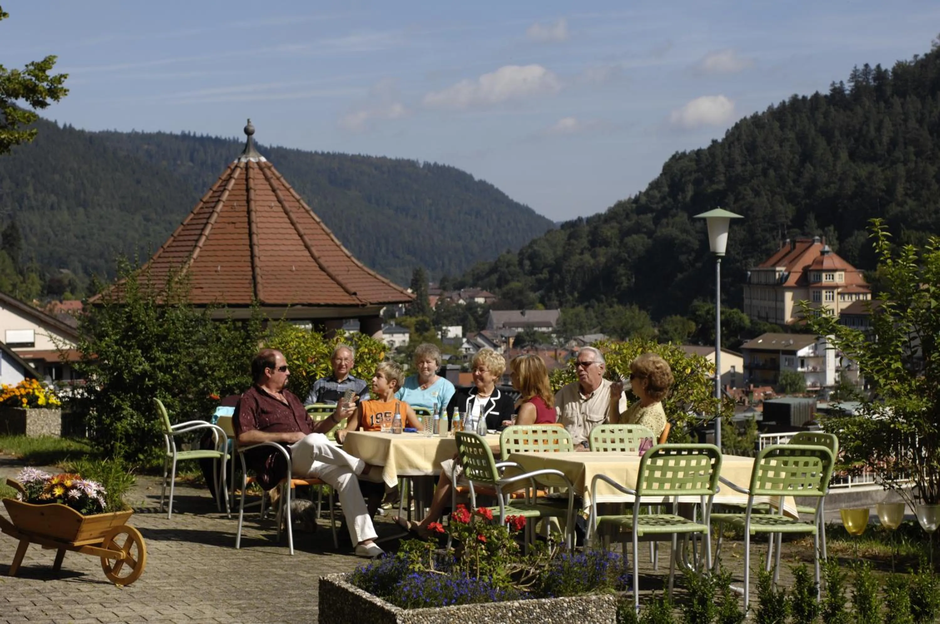 Balcony/Terrace in Hotel Bergfrieden