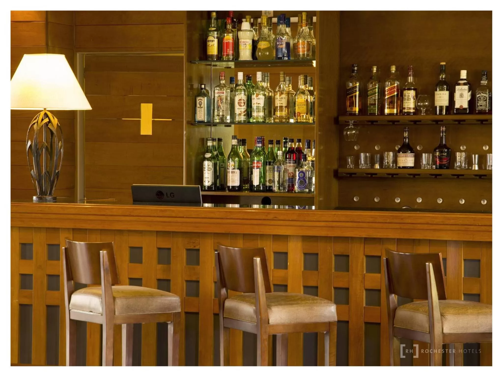 Lounge or bar in Rochester Calafate