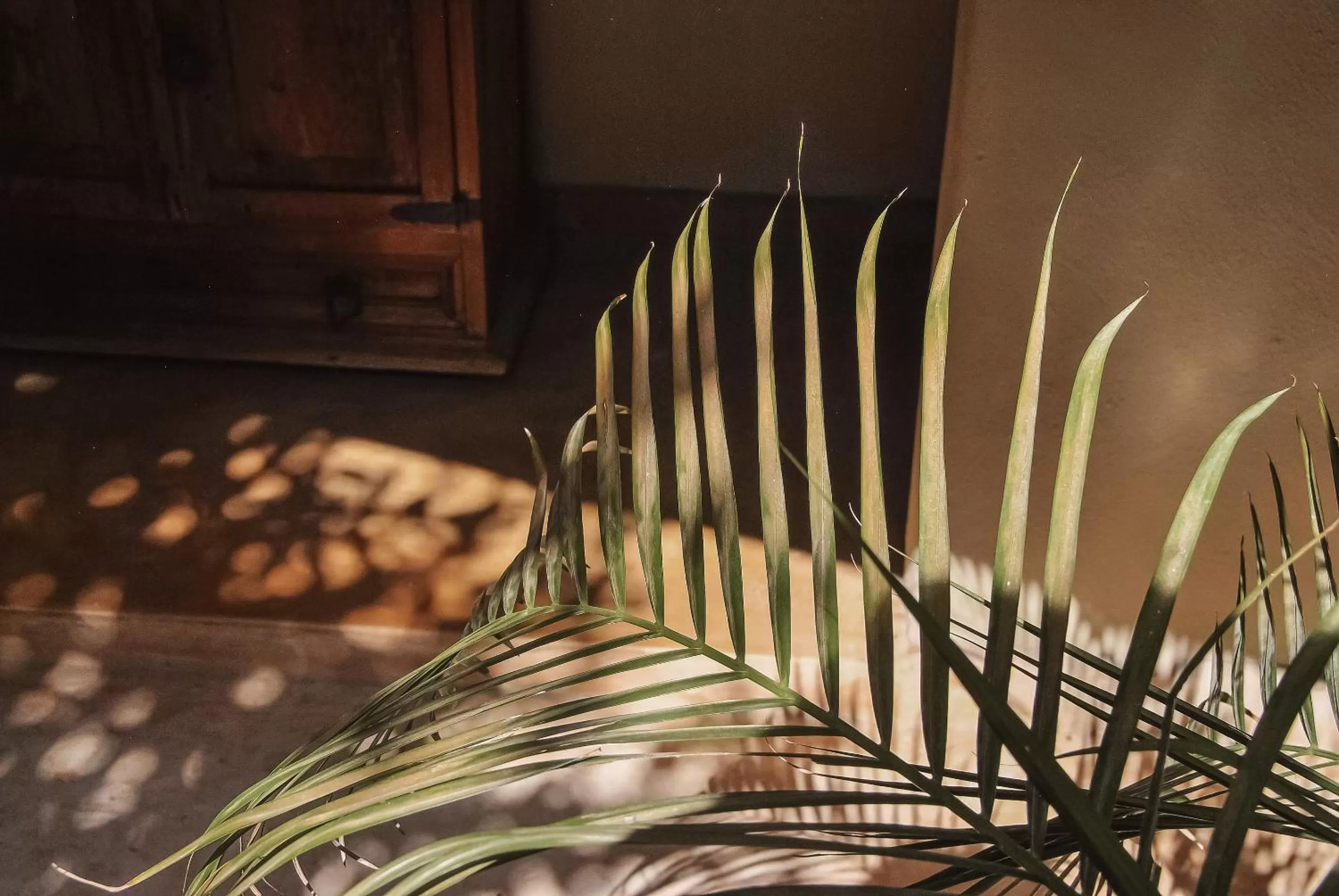 Decorative detail in Boutique Hotel Posada 06 Tulum