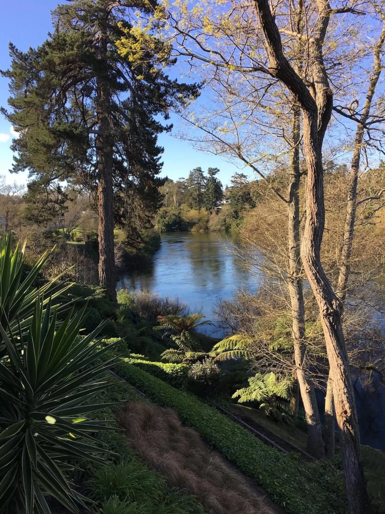 Balcony/Terrace in On The River