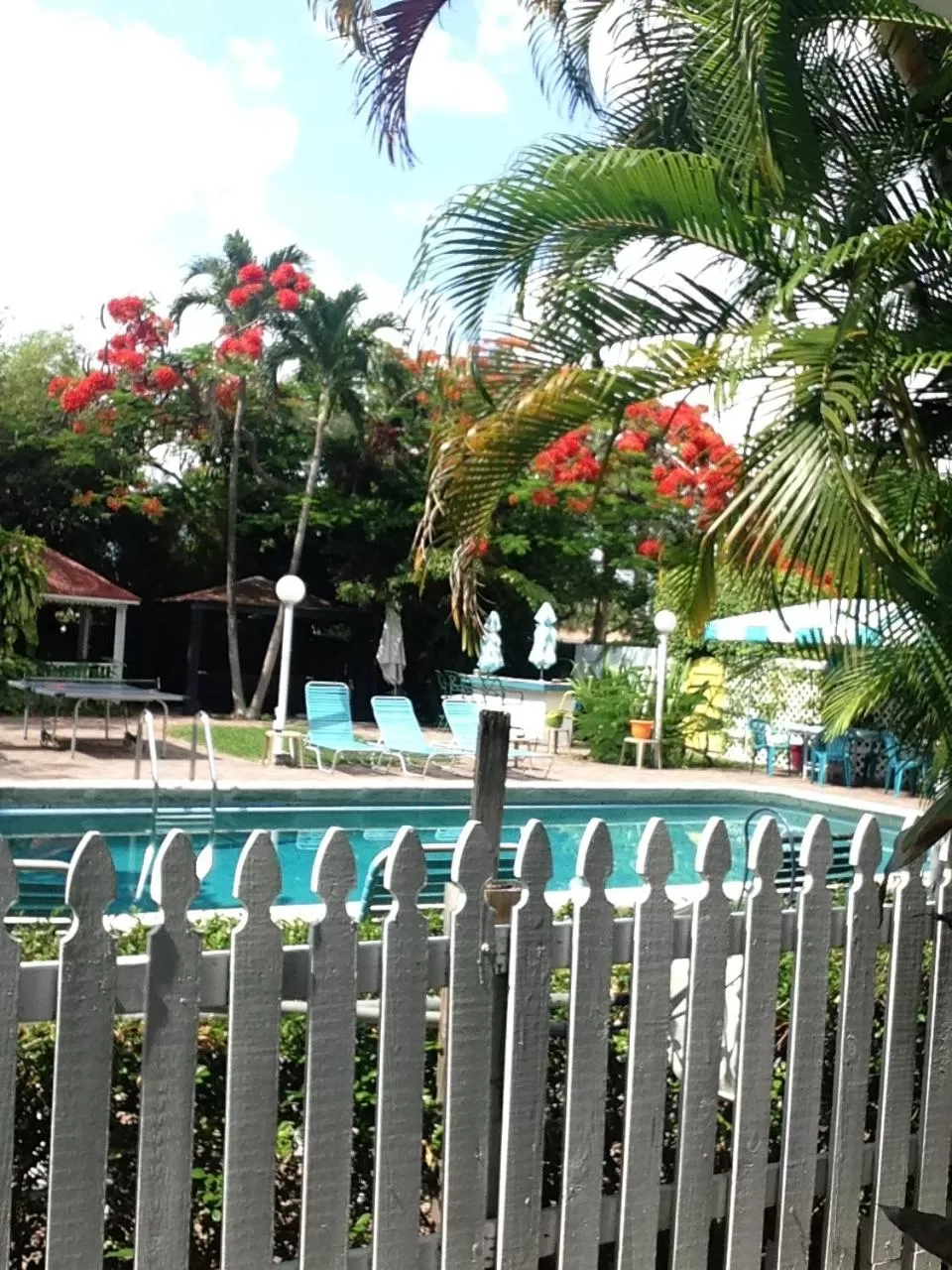 Swimming pool in Green Island Inn