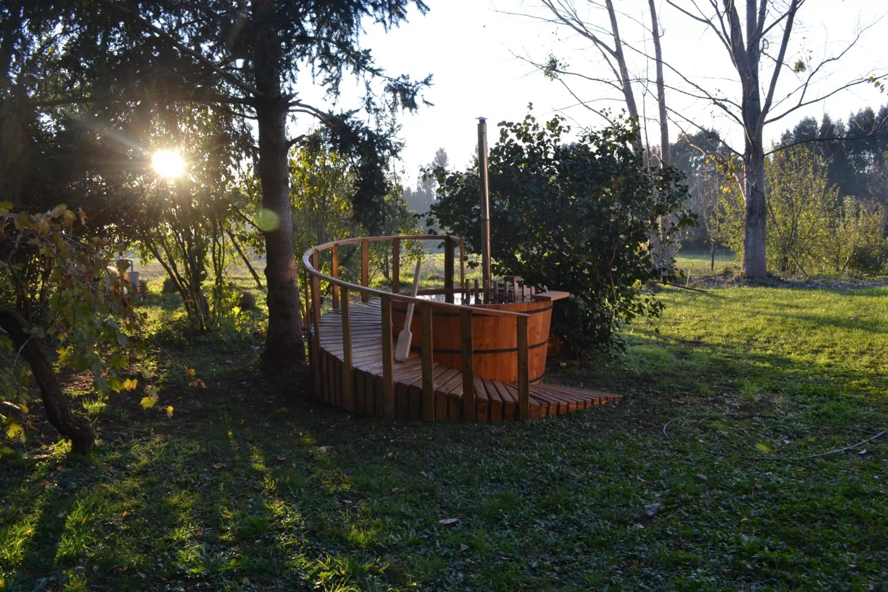 Garden in La Casa de Adobe Natural y Más