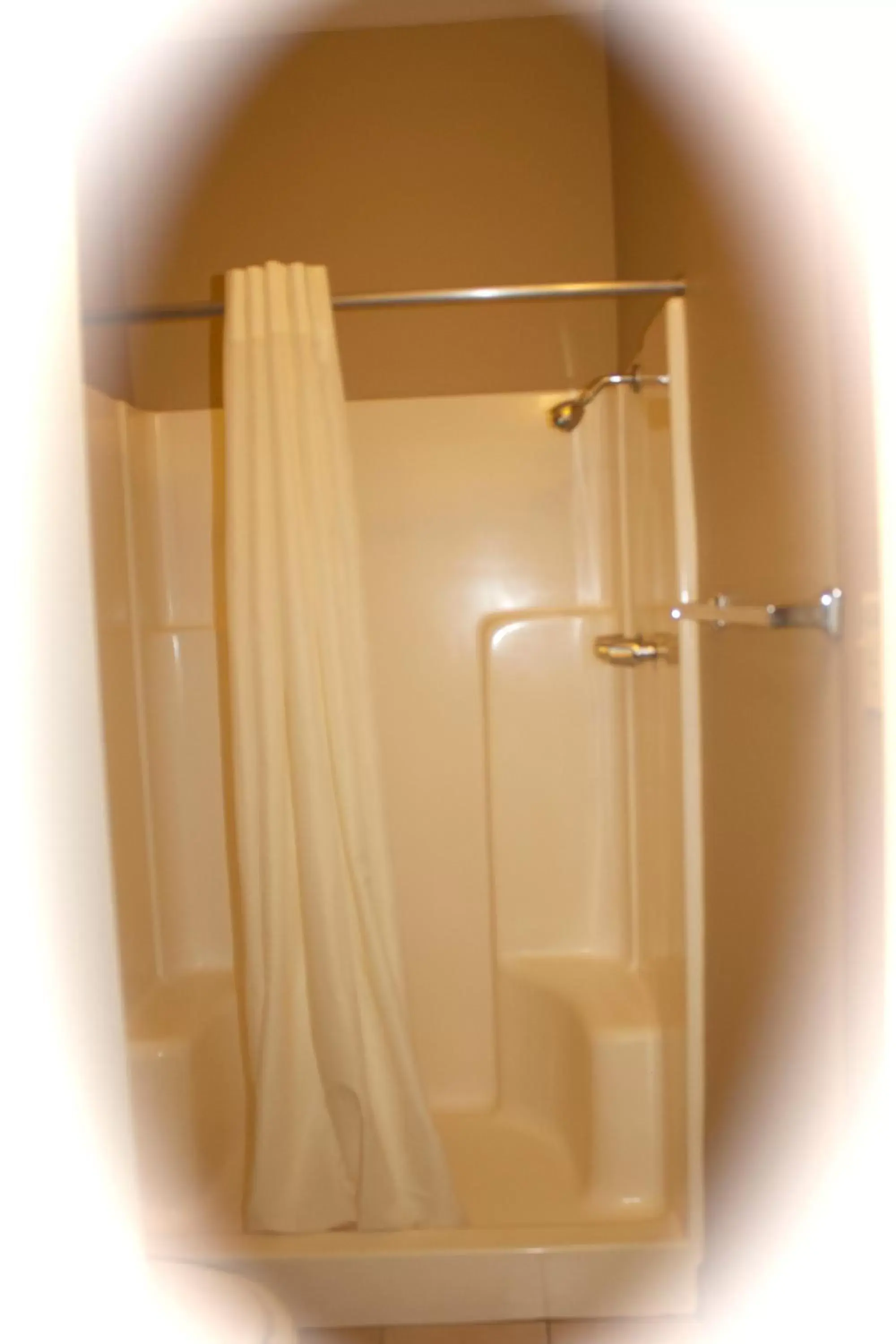 Standard King Room in Holland Inn and Suites Standard King Room in Holland Inn and Suites