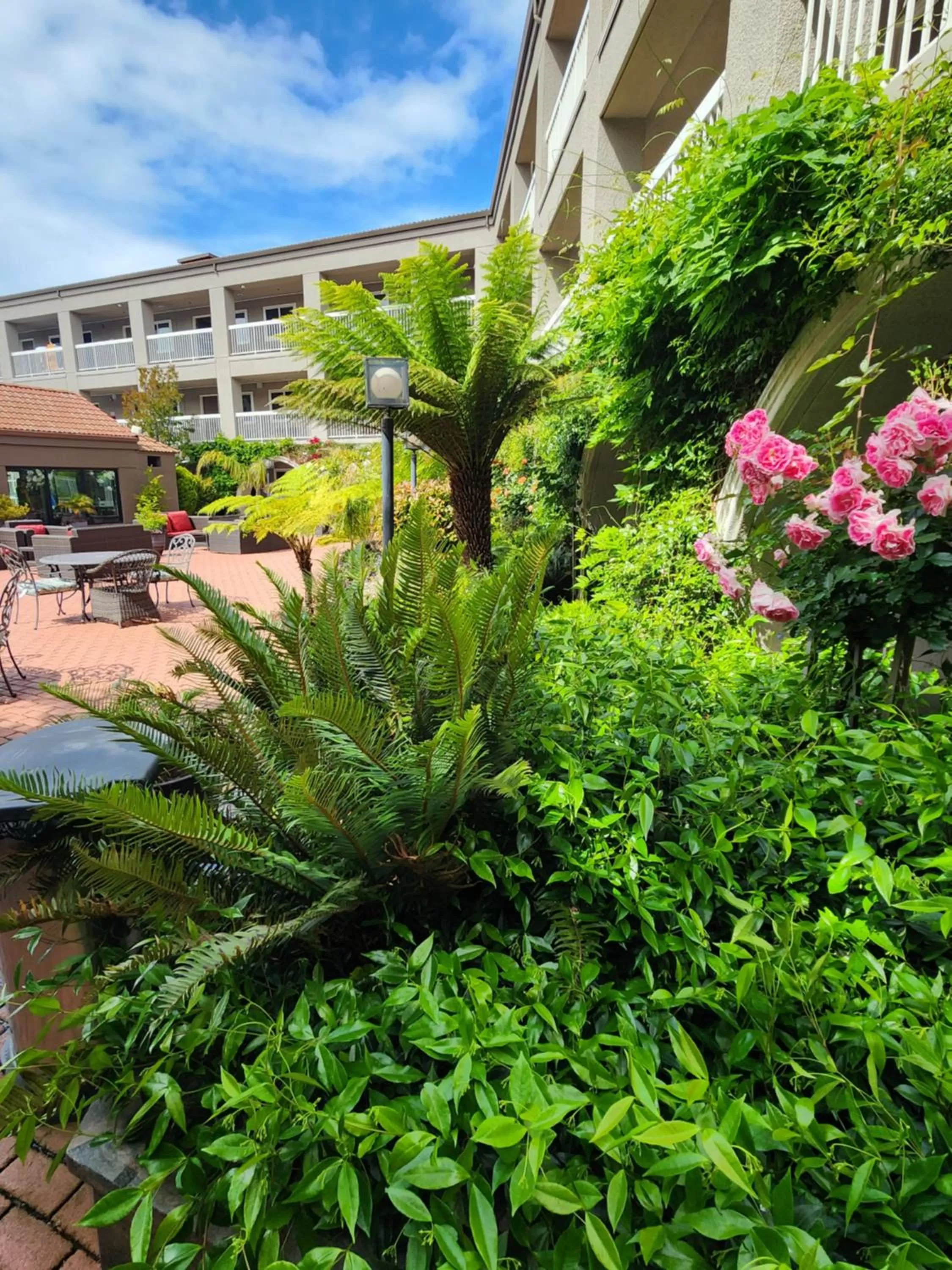 Garden in La Quinta by Wyndham San Francisco Airport West Millbrae FREE AIRPORT SHUTTLE