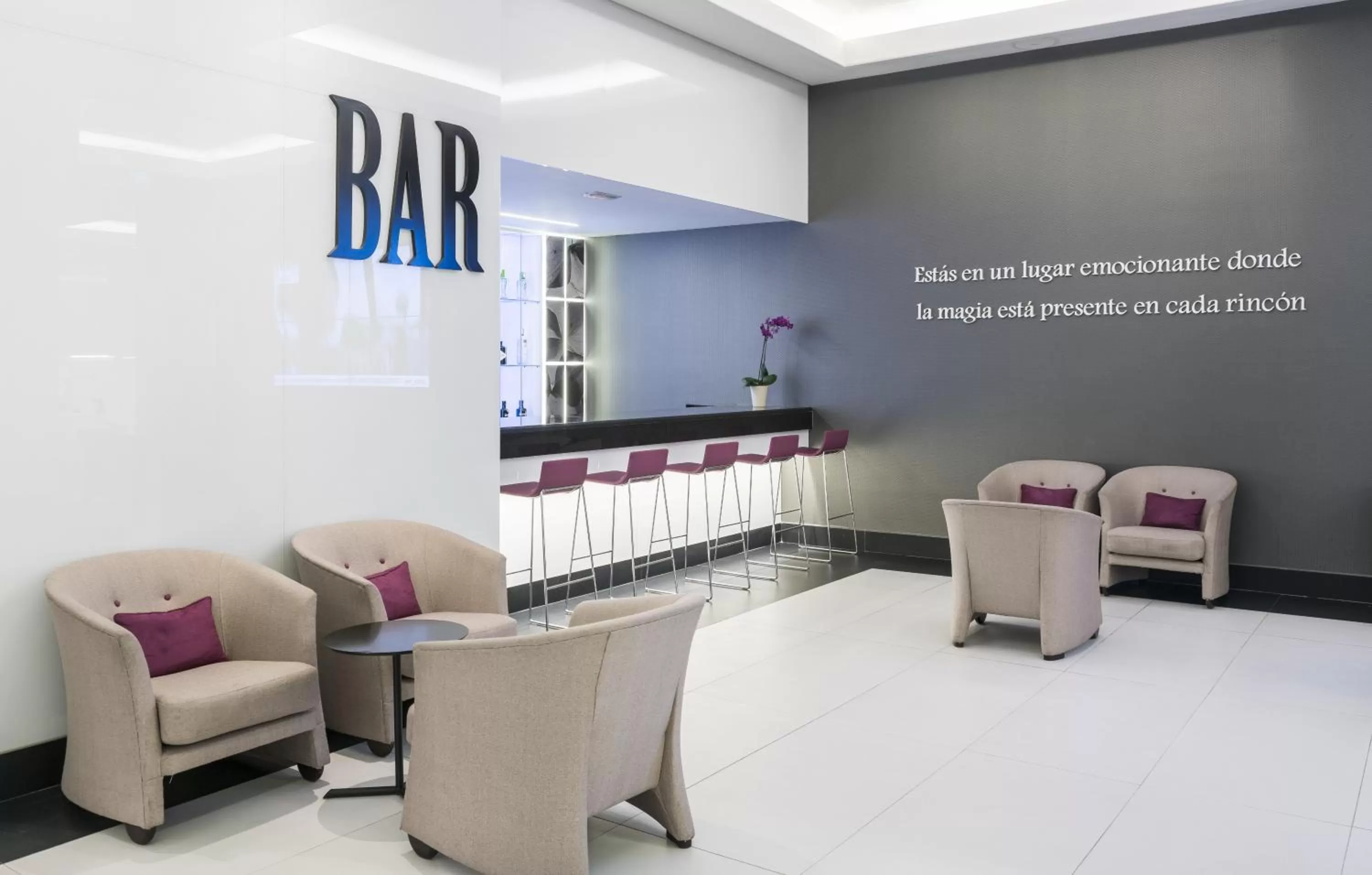 Lounge or bar in Ilunion Suites Madrid