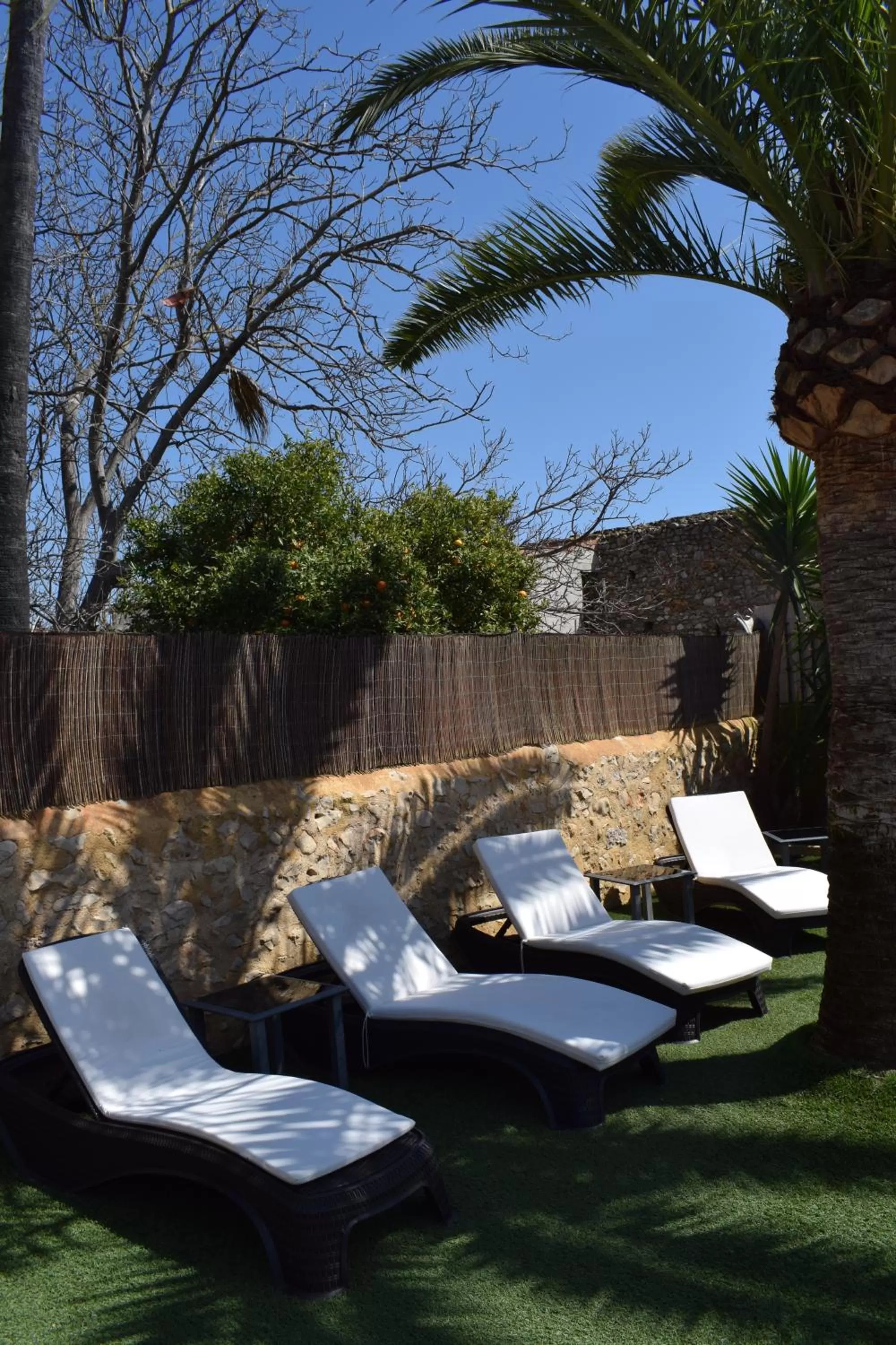 Garden in Casa Mistela