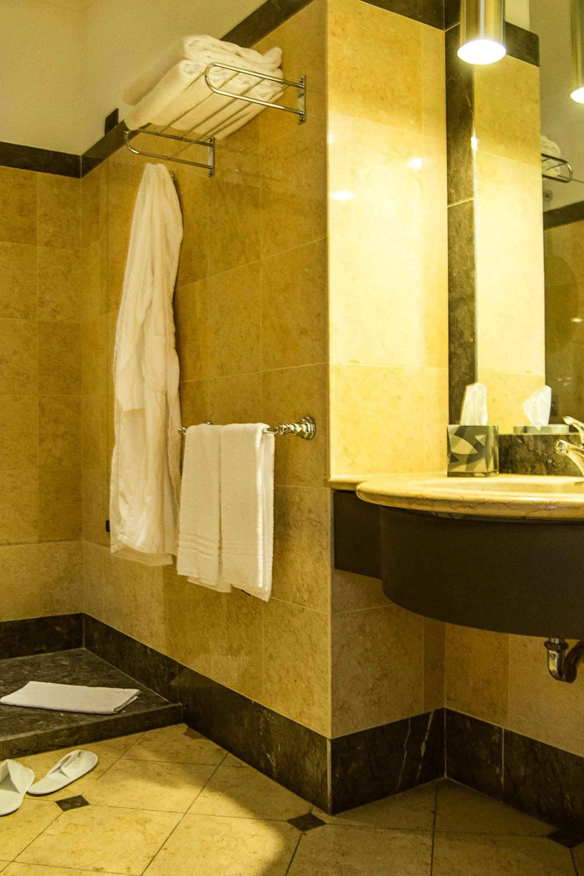 Shower in Hotel Federico II Central Palace