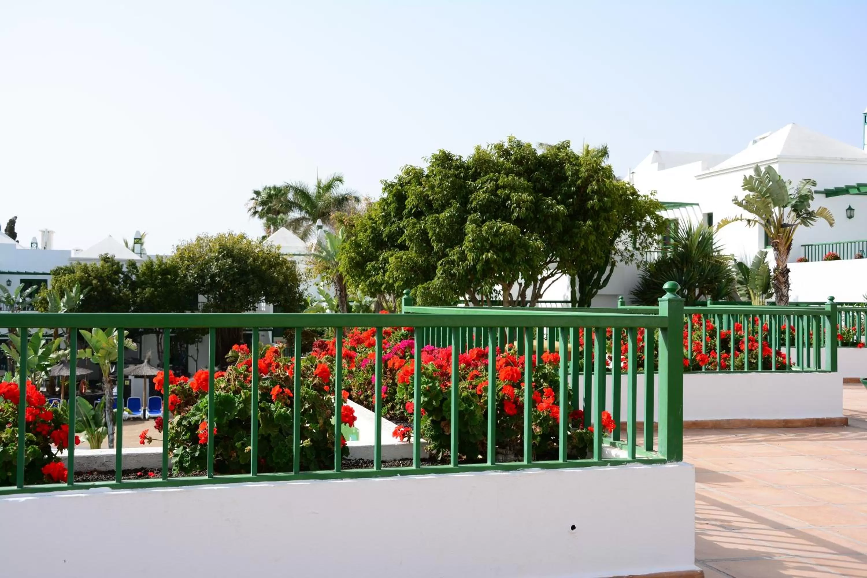Balcony/Terrace in THB Royal