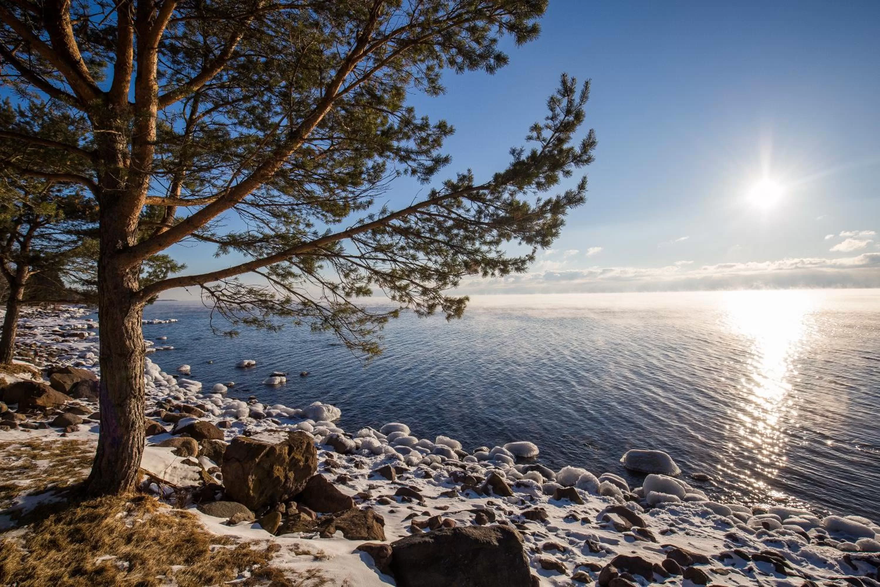 Natural landscape in Larsmont Cottages