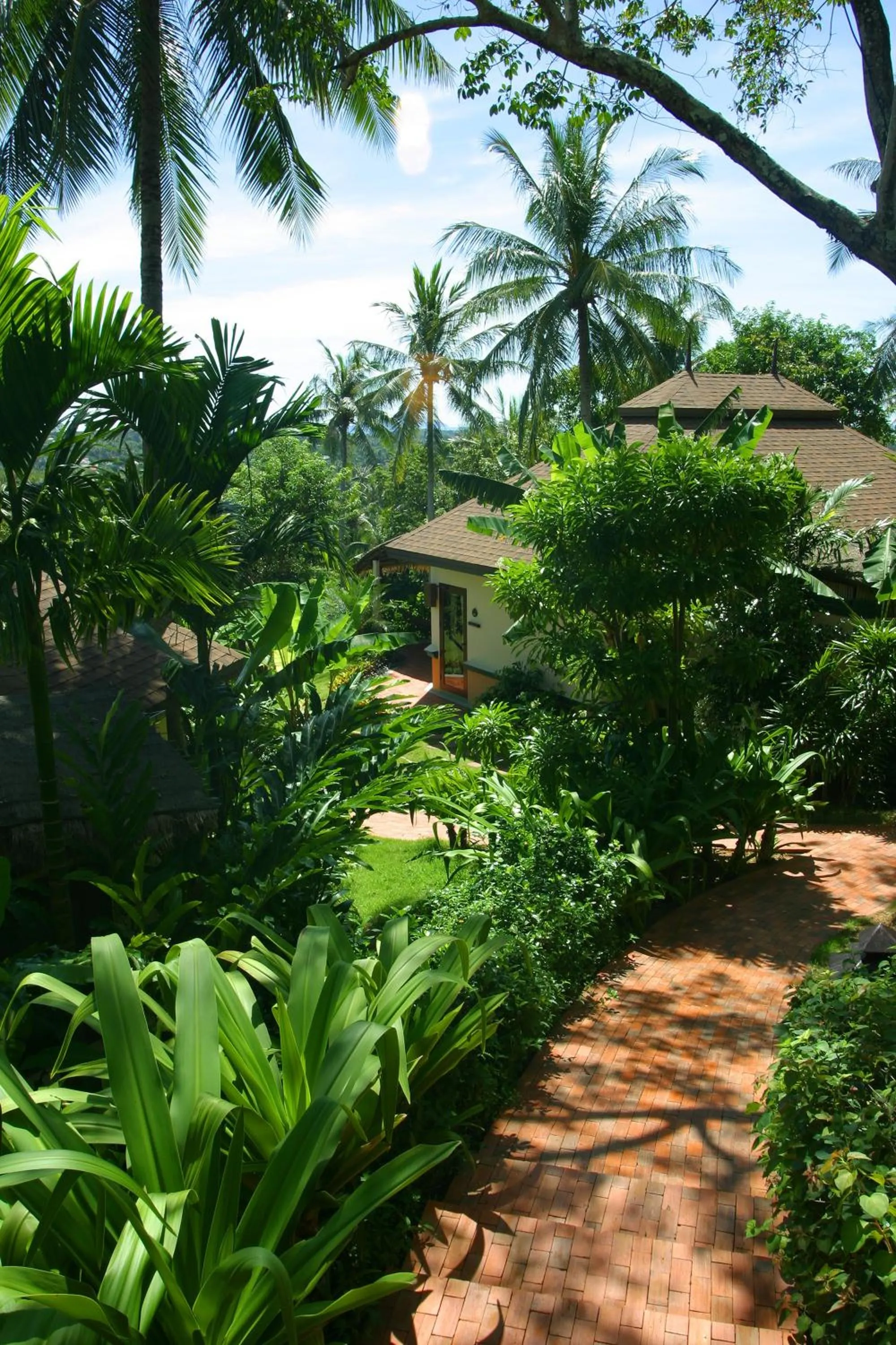 Garden in Mangosteen Ayurveda & Wellness Resort - SHA Plus