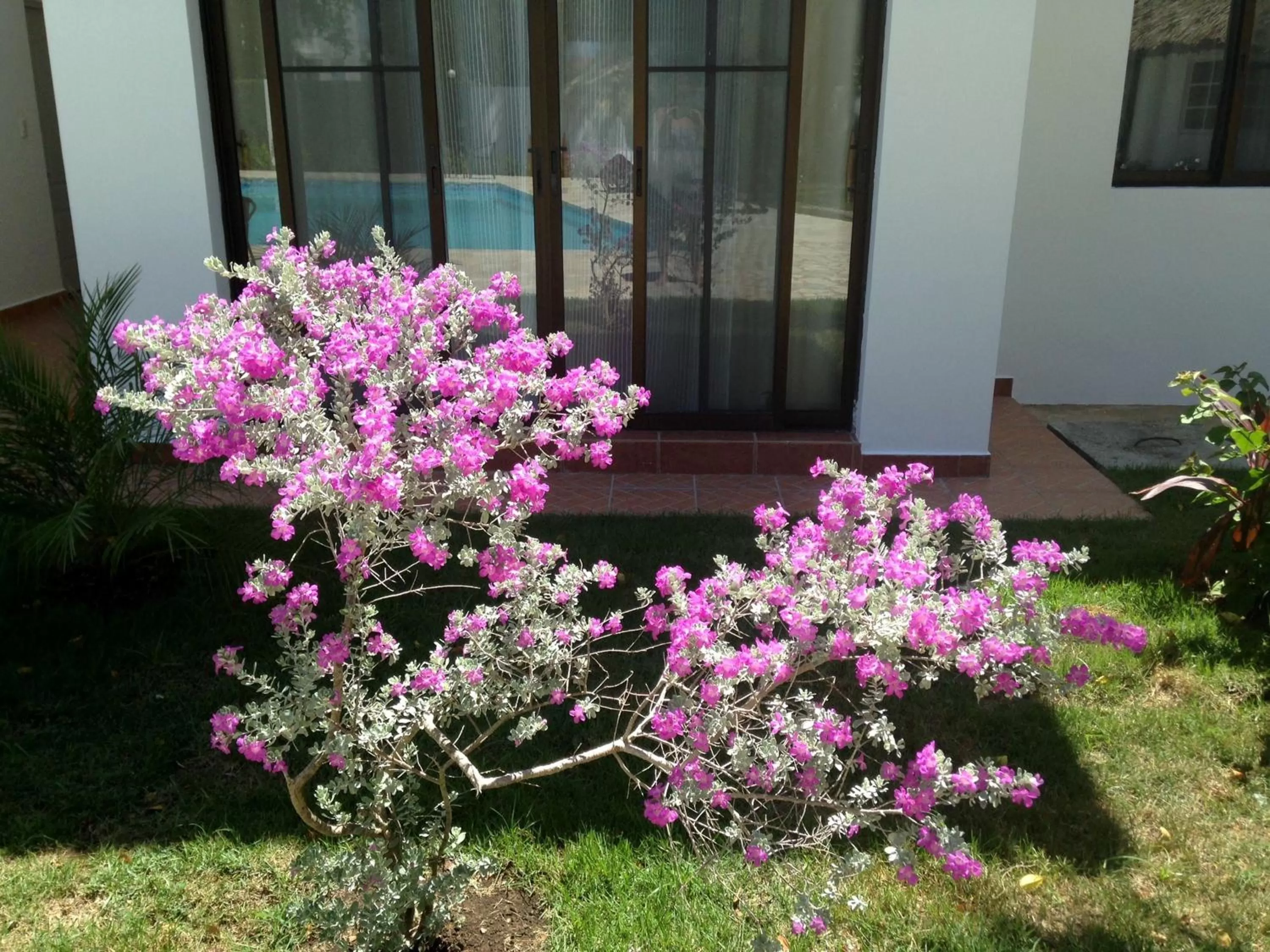 Garden in Coral Blanco Hotel