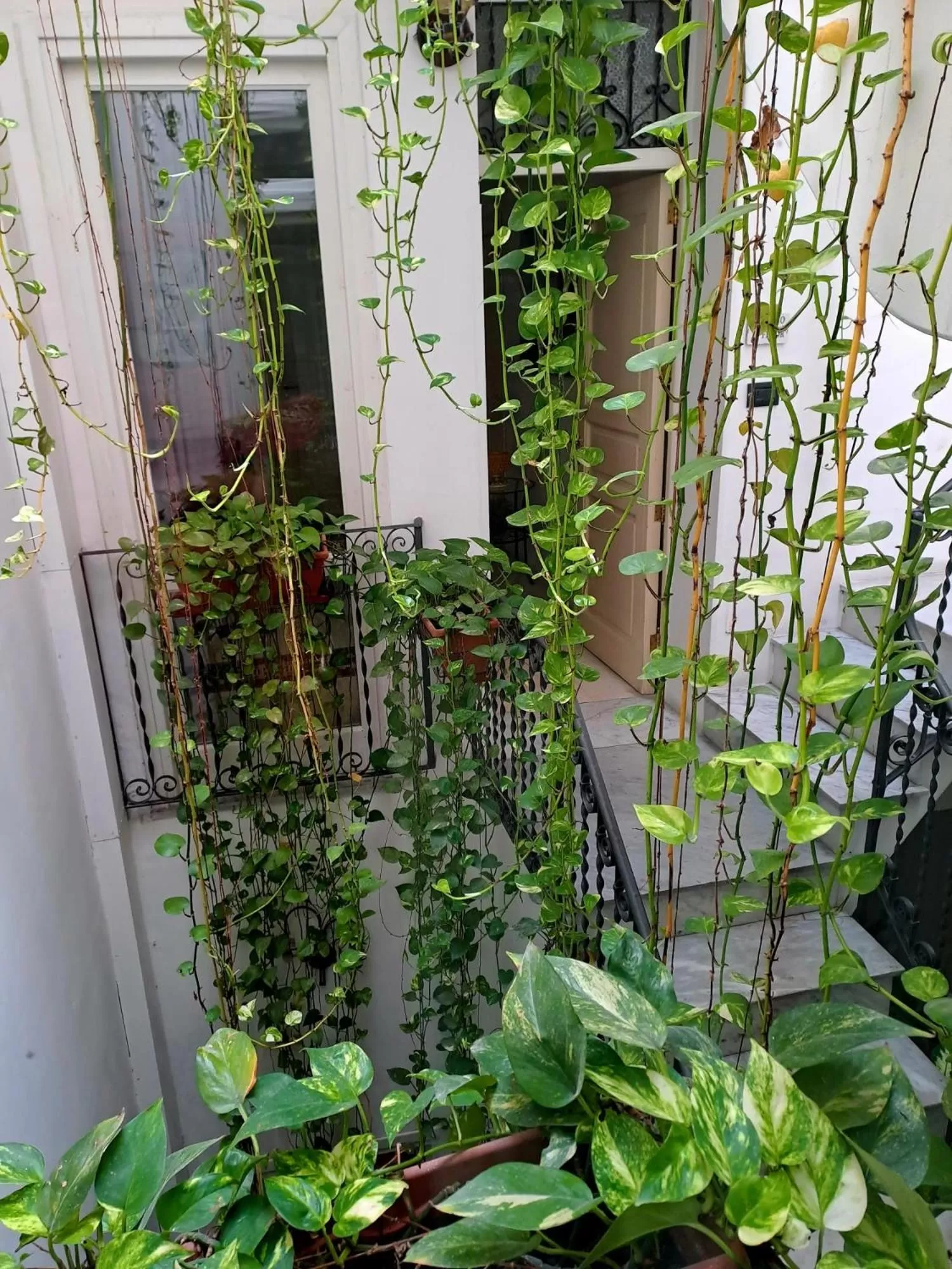 Natural landscape in Ai Tintori