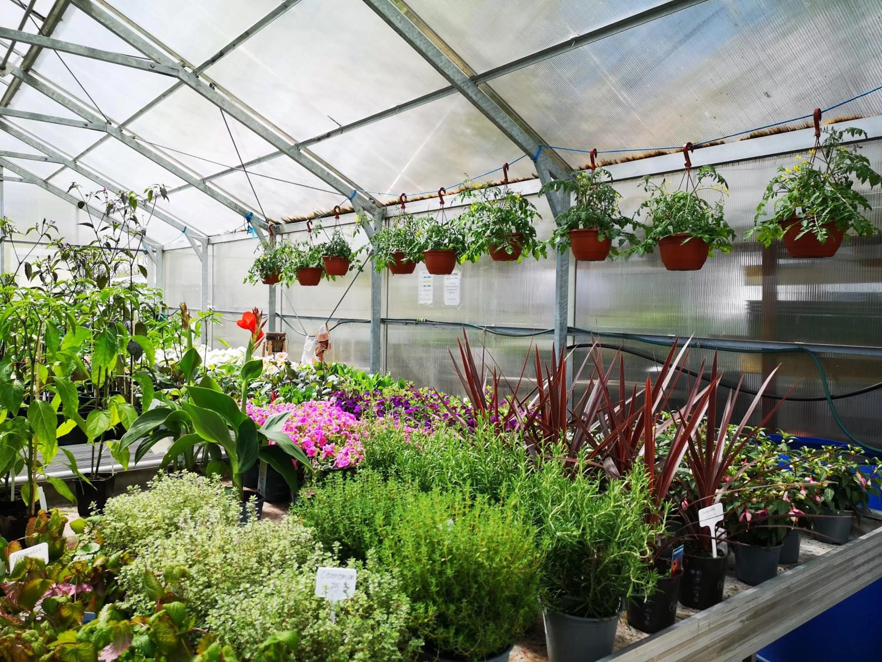 On-site shops in Disponentparken Café och Bed & Breakfast