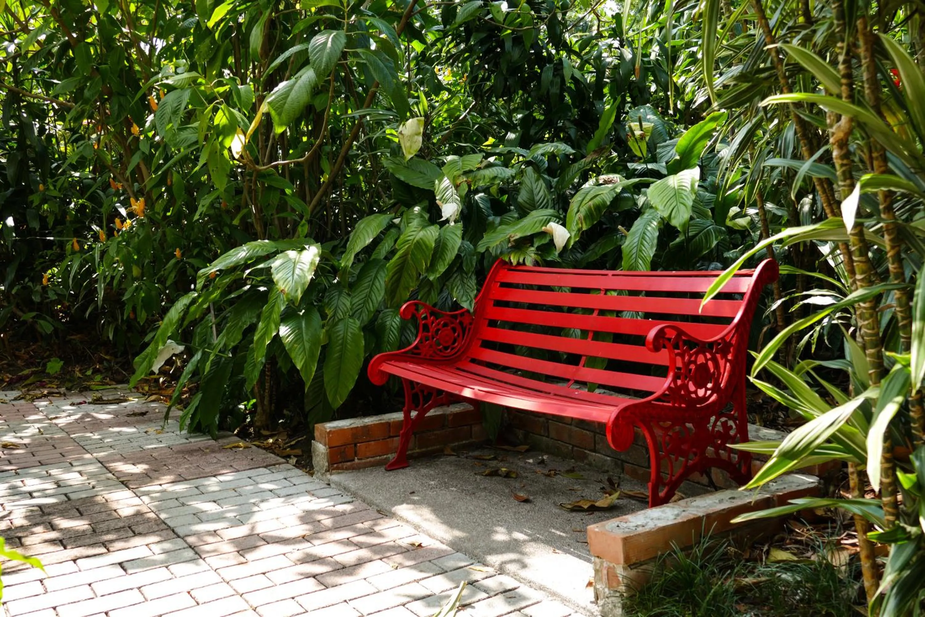Garden in Hotel Bougainvillea San José