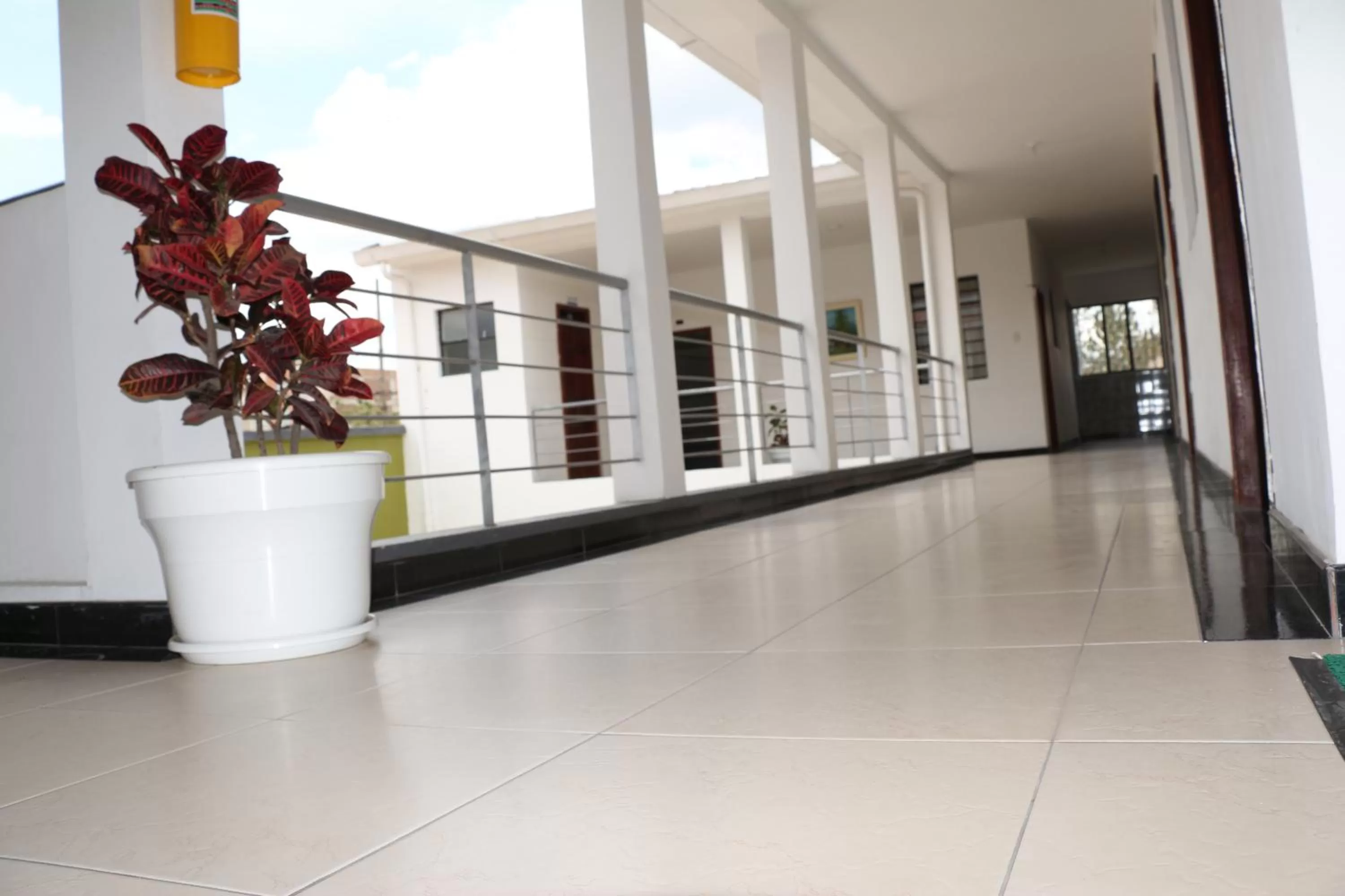 Balcony/Terrace in Hotel Abadia