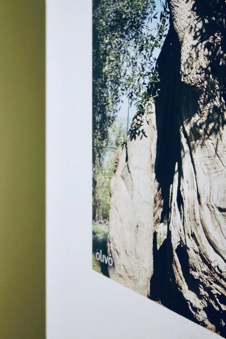 Decorative detail in Hotel Olivò