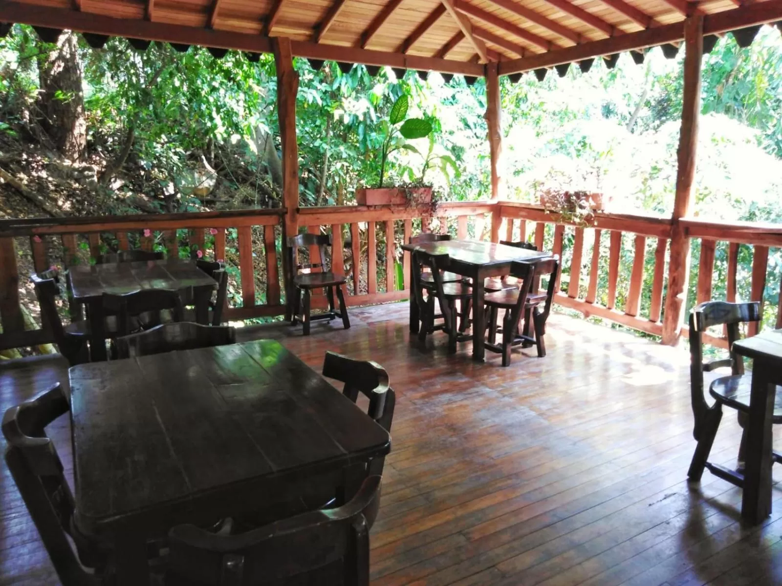 Restaurant/Places to Eat in Hotel Miami Beach