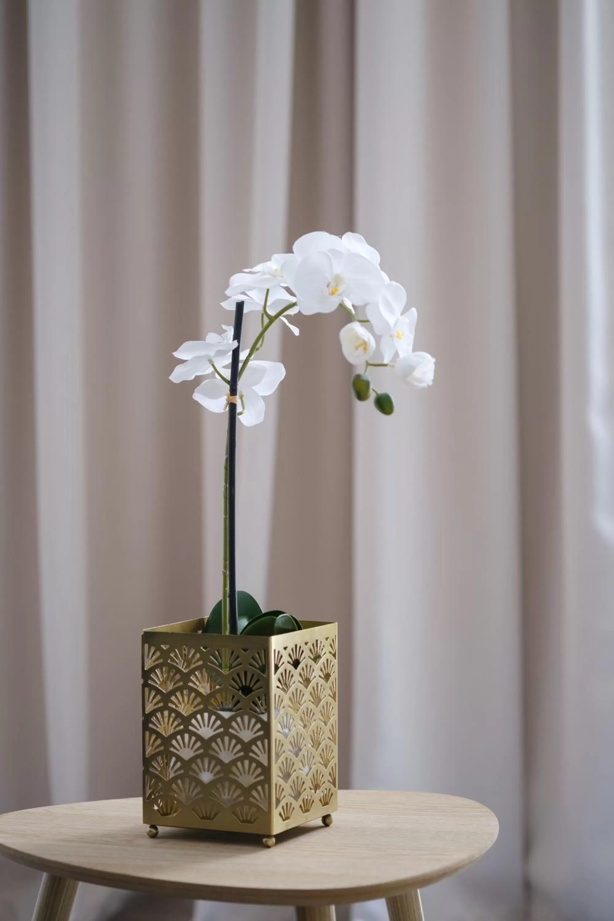 Teatro Verdi Boutique Hotel