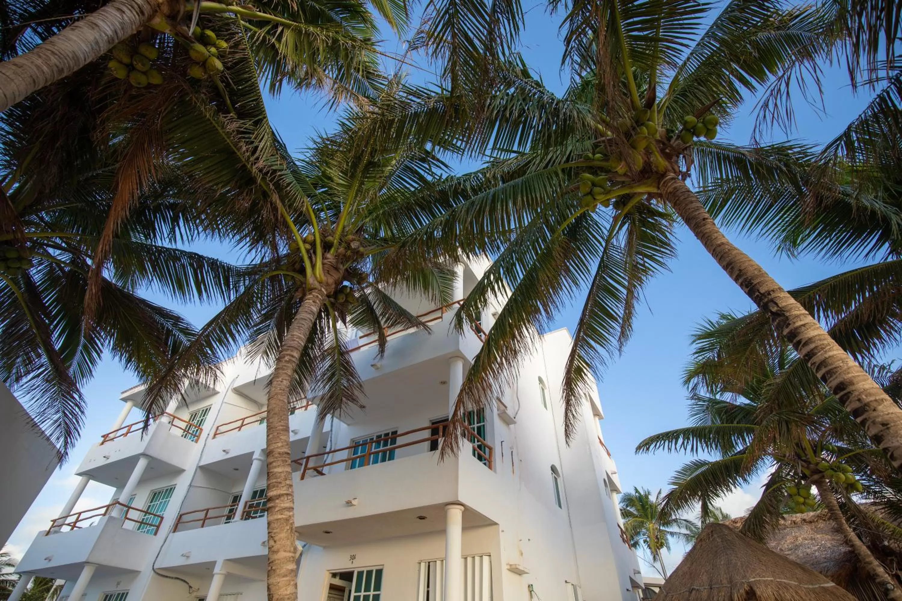 Property building in HOTEL & BEACH CLUB OJO DE AGUA