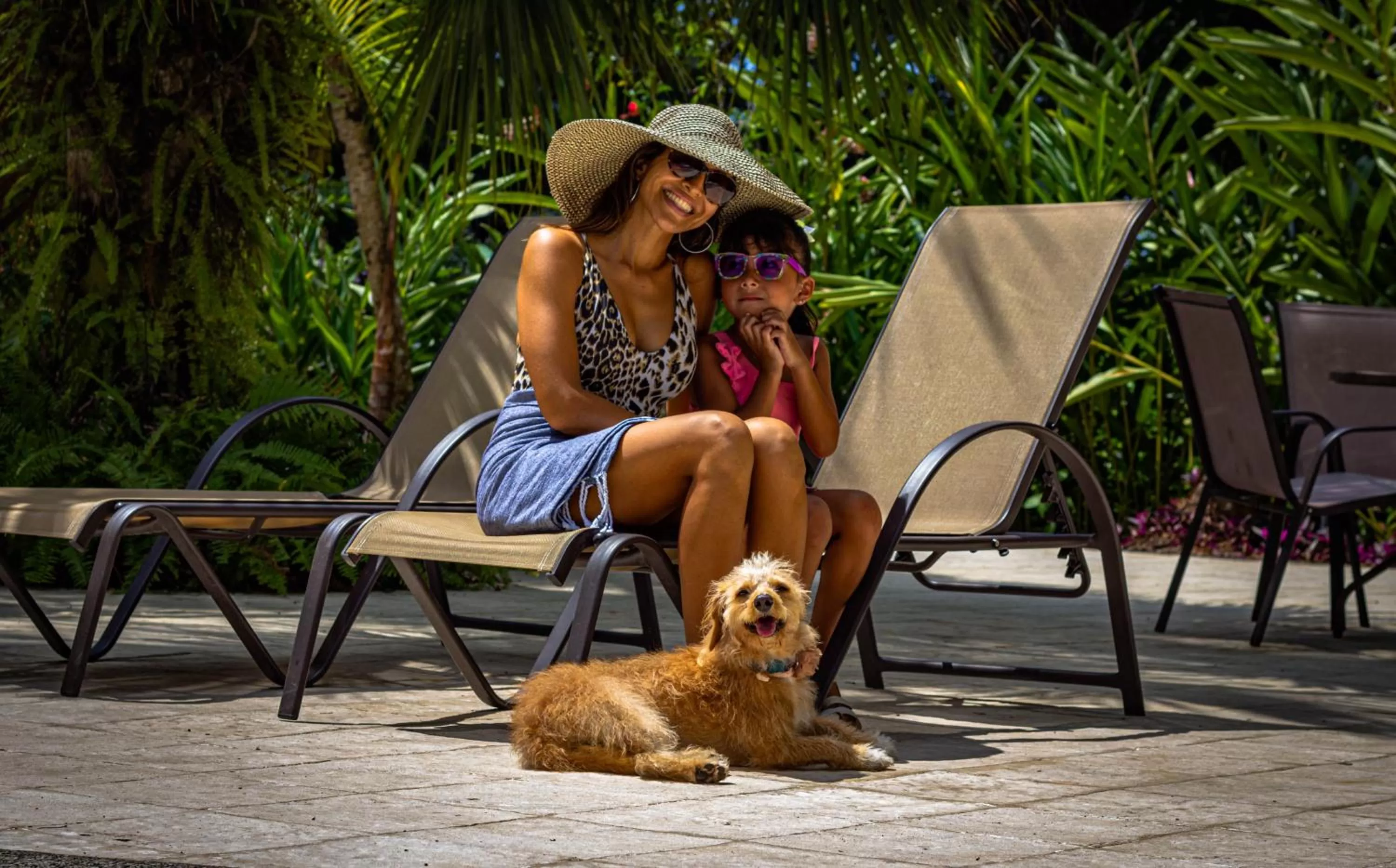 Animals in Jaco Hotel DoceLunas