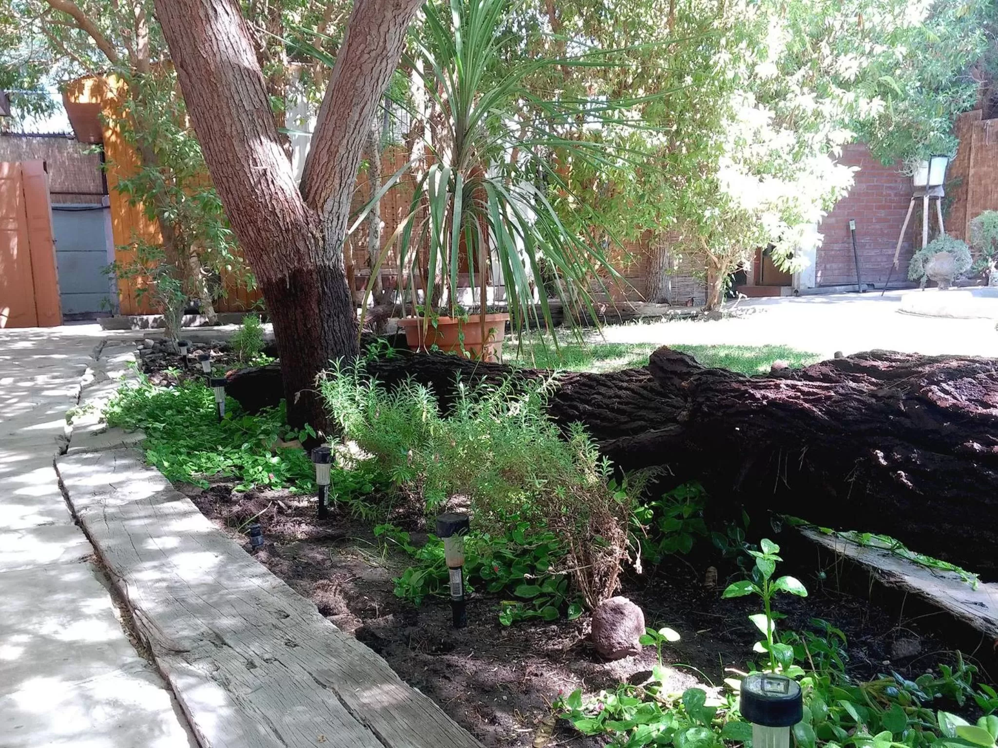 Patio, Garden in Atankalama