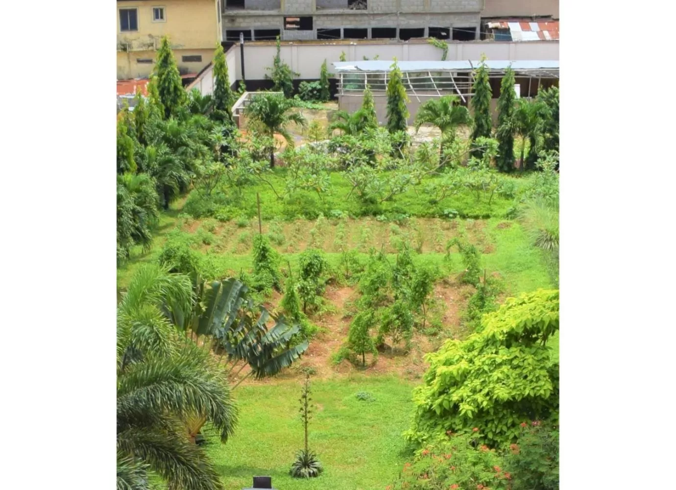 Garden in Lagos Airport Hotel