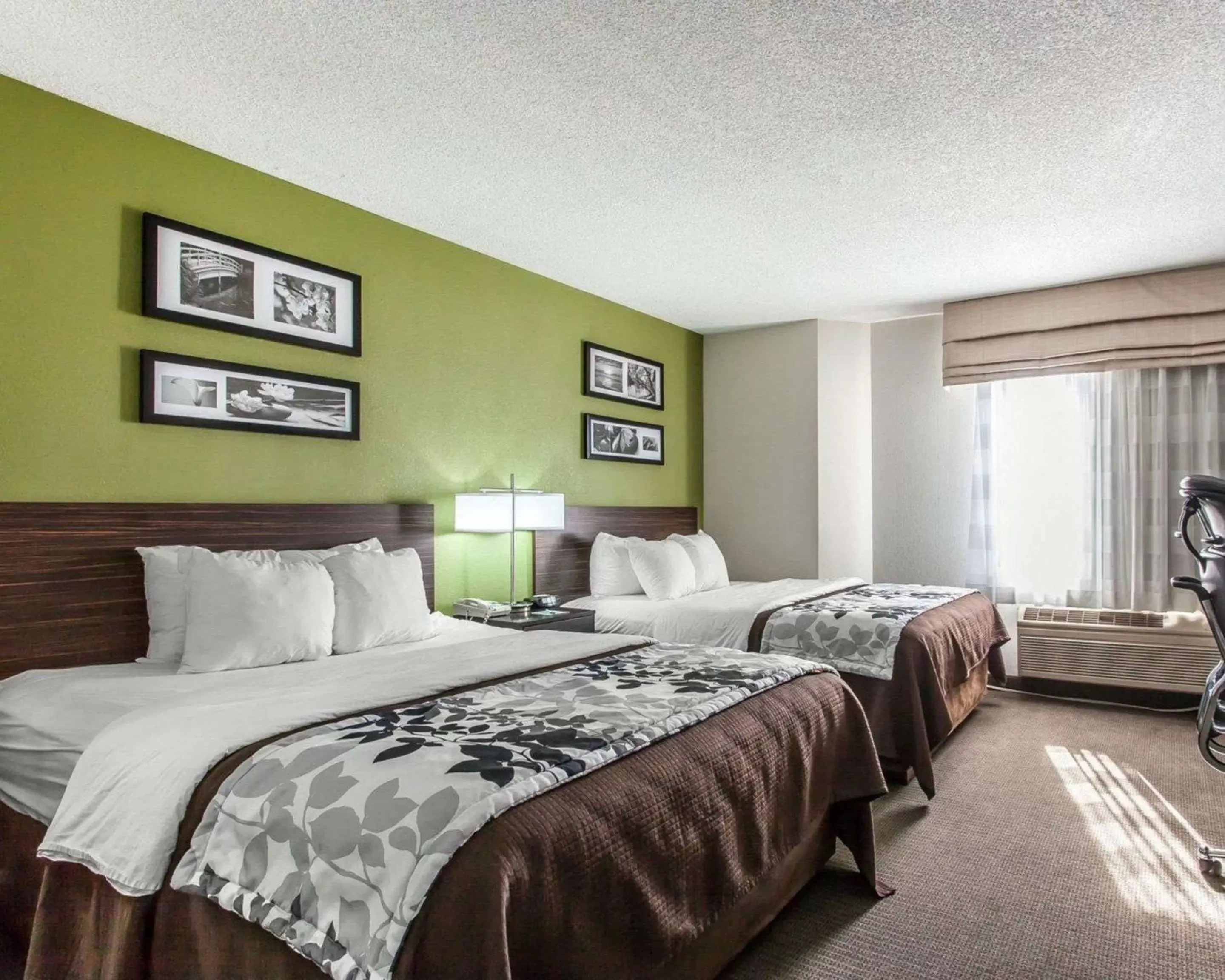 Queen Room - Accessible/Nonsmoking in Sleep Inn & Suites Near I-90 and Ashtabula Queen Room - Accessible/Nonsmoking in Sleep Inn & Suites Near I-90 and Ashtabula