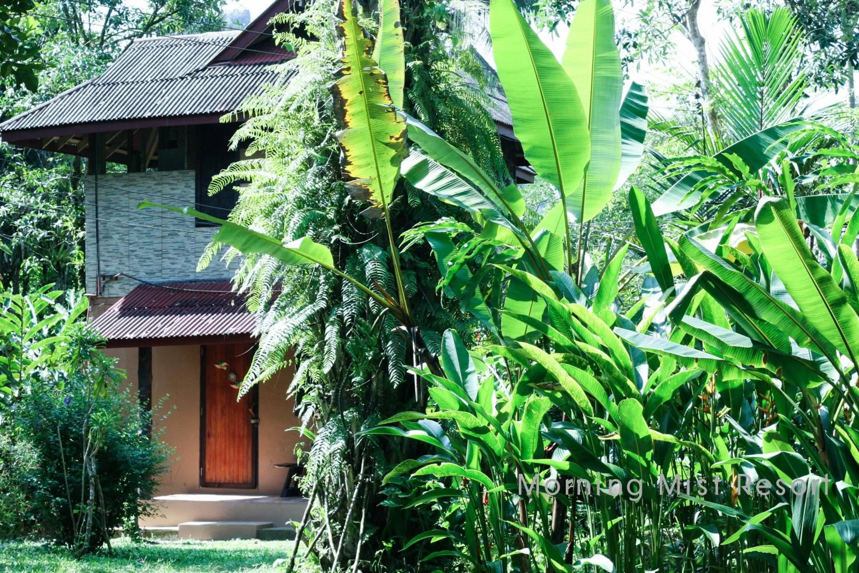 Facade/entrance in Khao Sok Morning Mist Resort