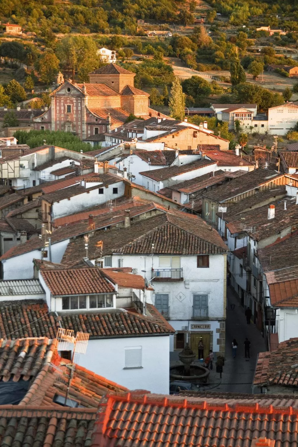 Area and facilities in Hotel Valle del Ambroz